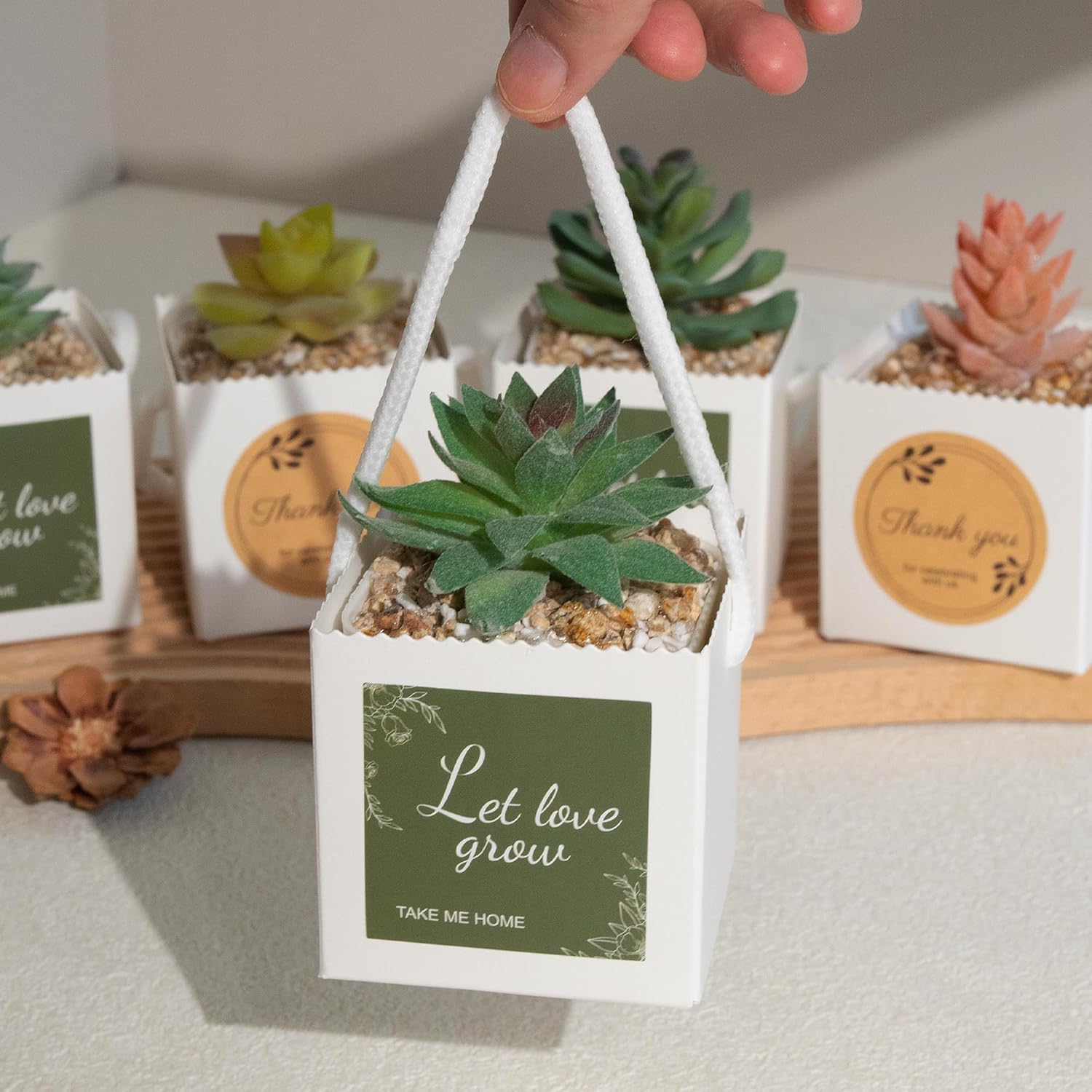Temlum 2.5 Inch Succulent Wrap Bags (Fits 2.5″ Pots) with Thank You & Let Love Grow Stickers, Small Gift Box for Wedding, Baby Shower, Succulent Party Favors for Guests (White 40pcs) - Image 6