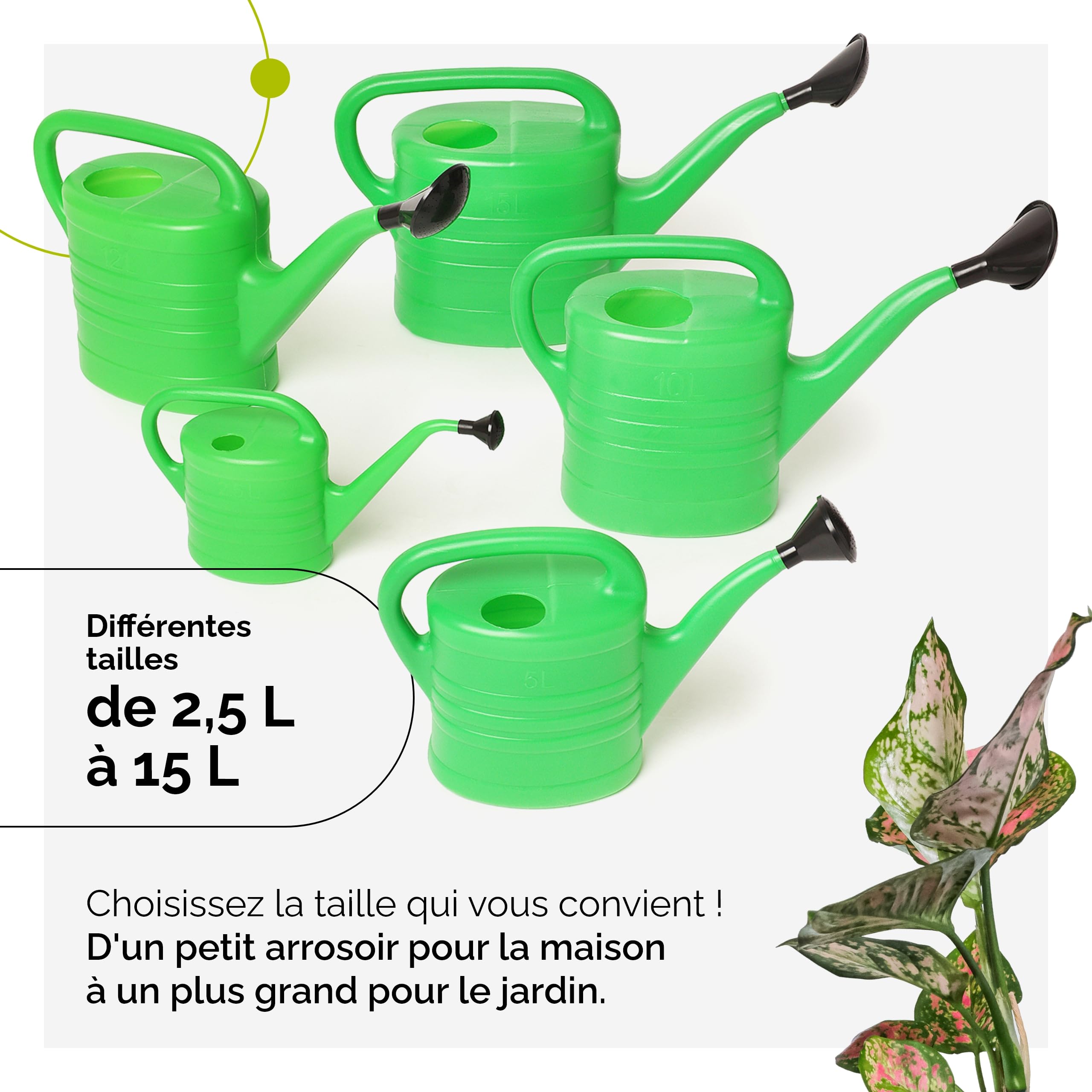 Plastkon Arrosoir 2,5 L Vert Avec Pommeau Douche Amovible – Idéal Pour Plantes D'Intérieur Et Jardin