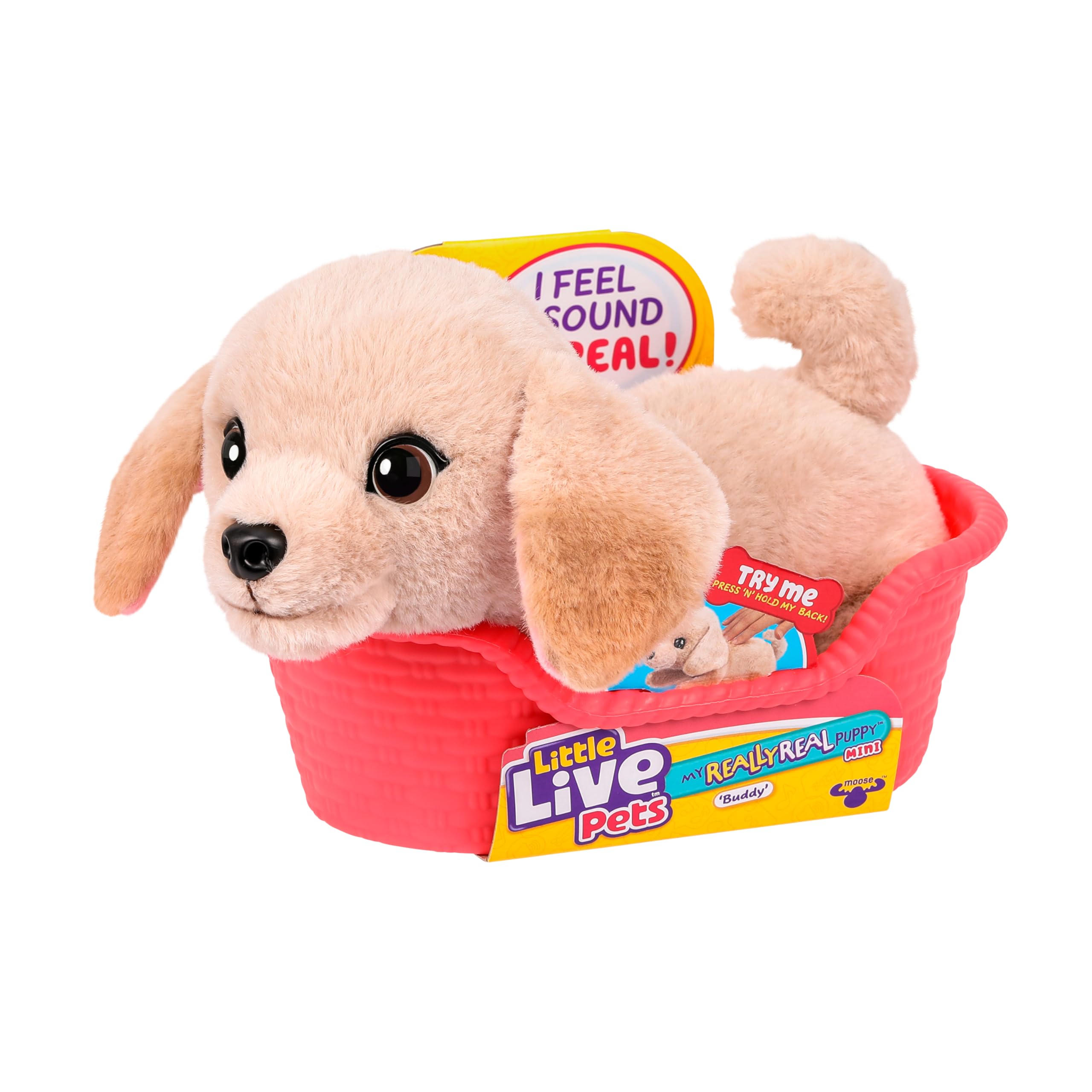 Little Live Pets My Really Real Puppy Mini Buddy The Retriever, Interactive Plush Toy with Basket, 20+ Sounds and Reactions, Puppy Toys for Kids