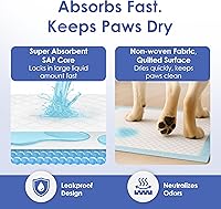 Vista 4 de AKC Formación Pad Holder