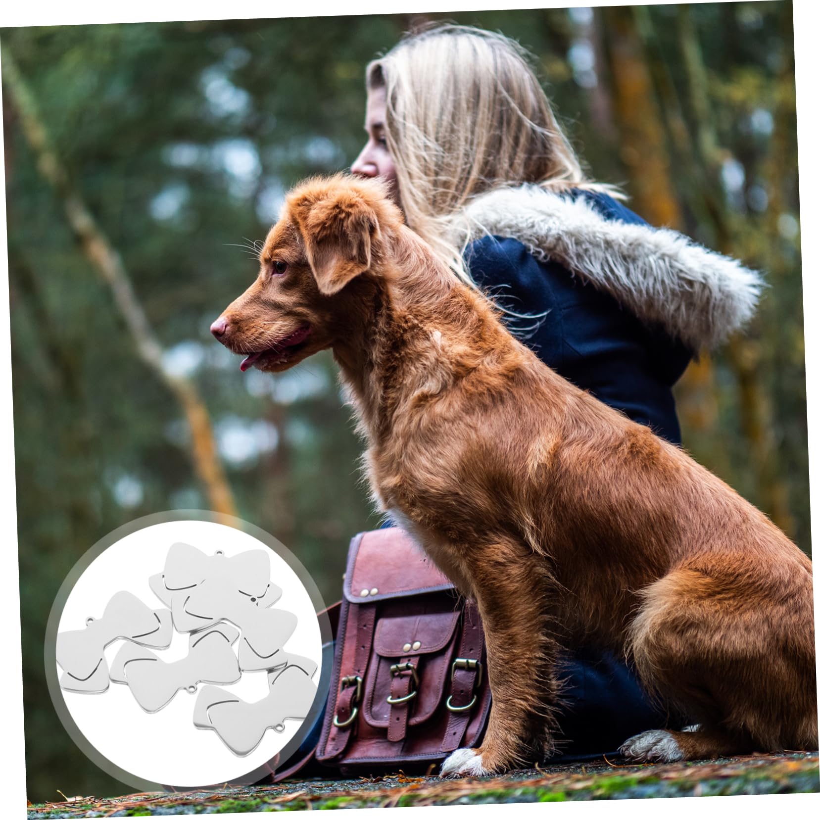 HEMOTON Etiquetas De Identificación Para Mascotas Inoxidable Con Diseño De Lazo Personalizables Con Nombre Teléfono Placas Para Perros Y Gatos Para Collar Compacto 10 Piezas X 5