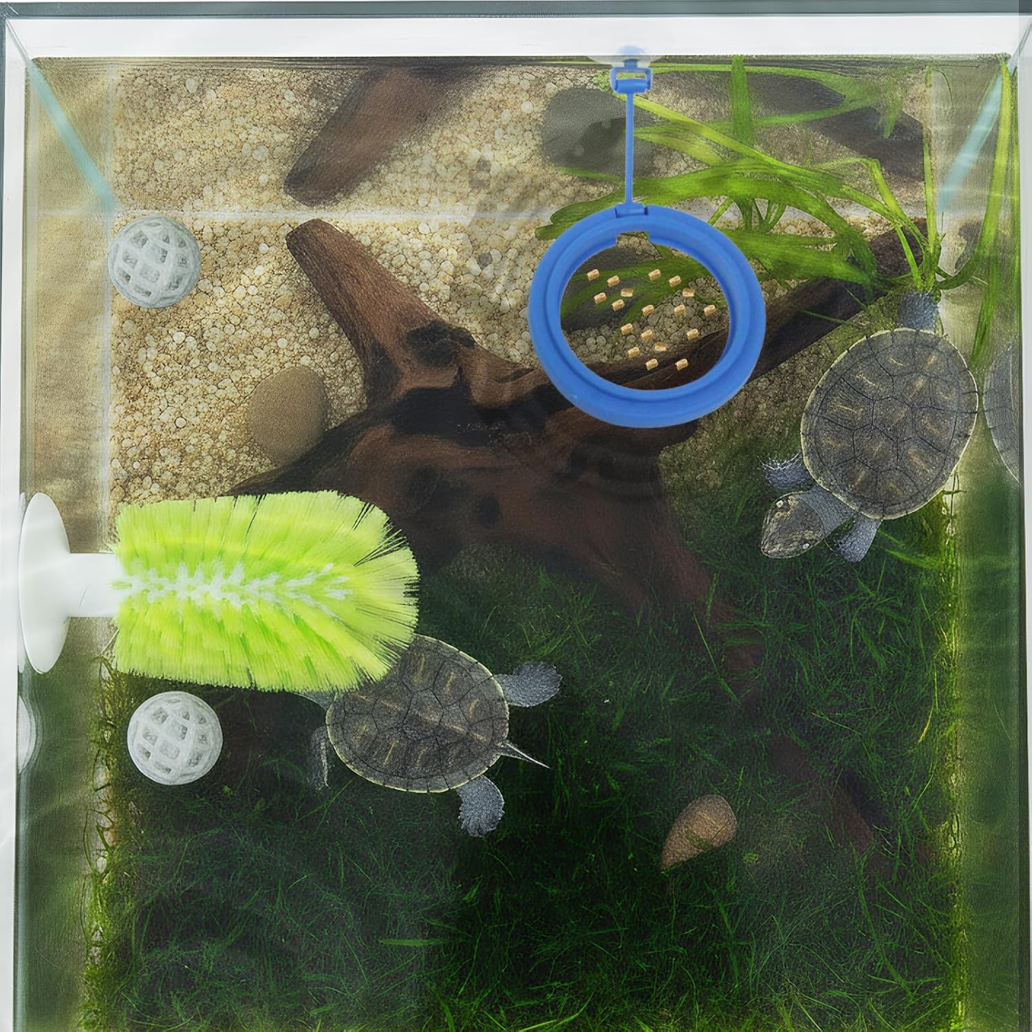 Turtle Brush with Filter Ball & Feeding Ring, for Clean Turtle Back & Belly