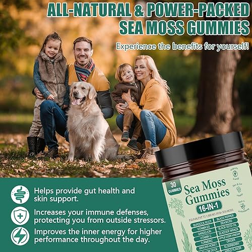 Miniatura 3 de Gomitas de musgo marino 16 en 1, con vejiga y raíz de bardana, suplemento orgánico de musgo marino irlandés para apoyo inmunológico, digestión,