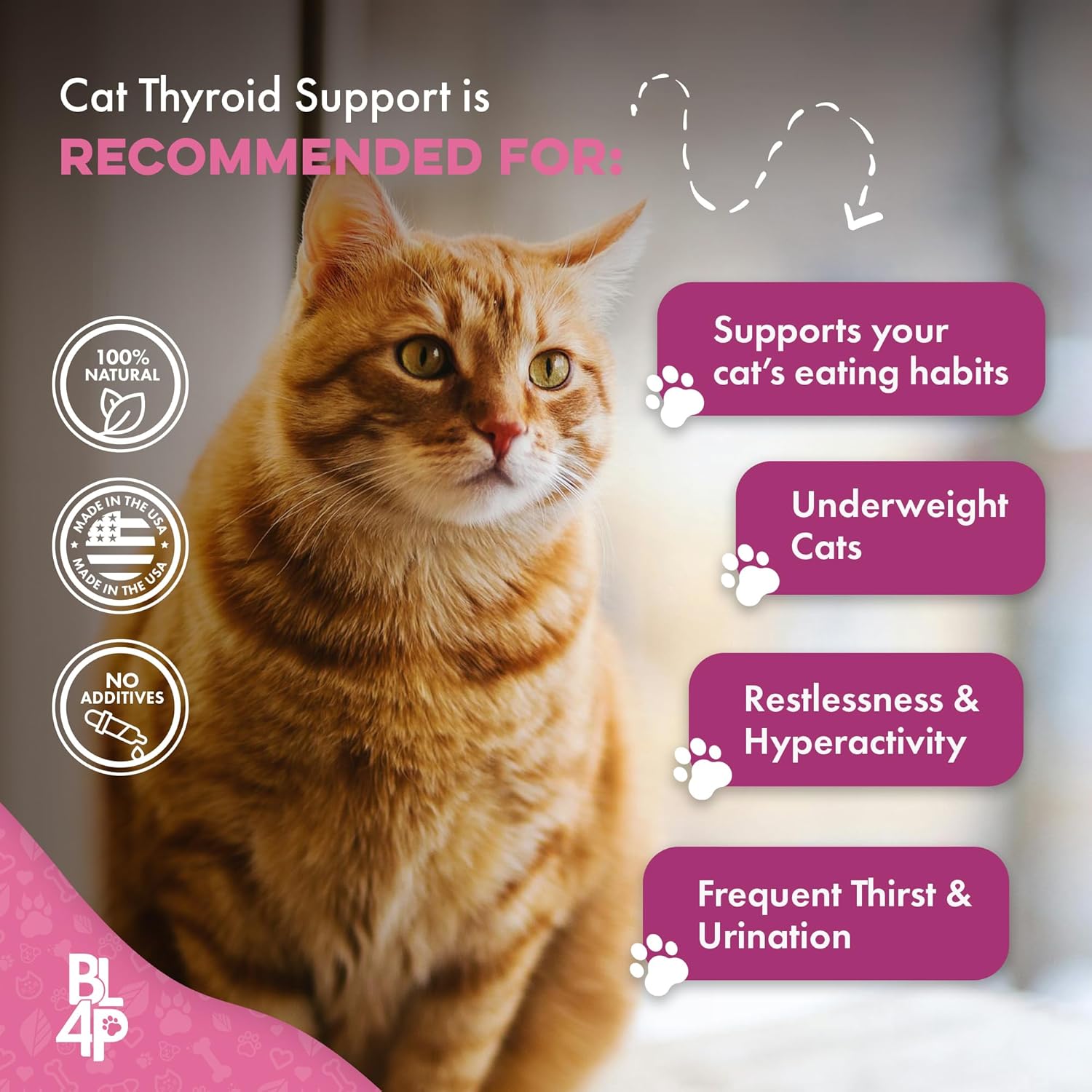 Cat Weight Gainer & Thyroid Support – Natural Appetite Stimulant for Cats, Underweight Kittens or Senior Cats Showing Restlessness and Poor Coat – 400 Odorless Pills Help Improve Daily Eating