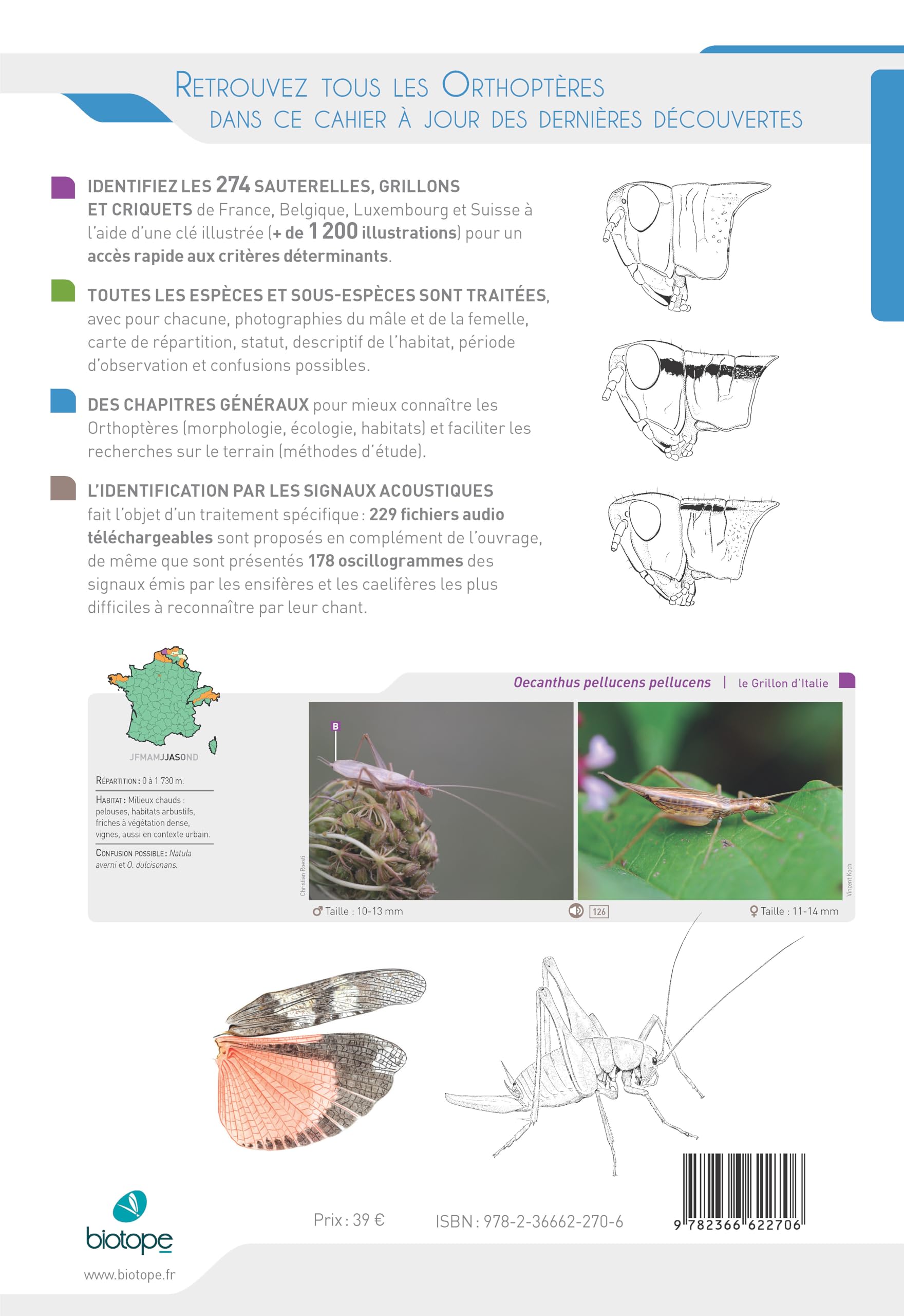 Cahier d'identification des Orthopteres France Belgique Luxembourg Suisse 2e edition: Toutes les espèces Sauterelles, Grillons & Criquets