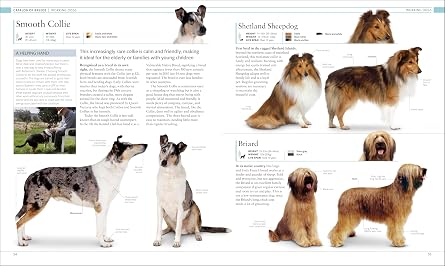 The Dog Encyclopedia (DK Pet Encyclopedias)