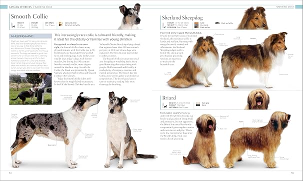 The Dog Encyclopedia (DK Pet Encyclopedias)