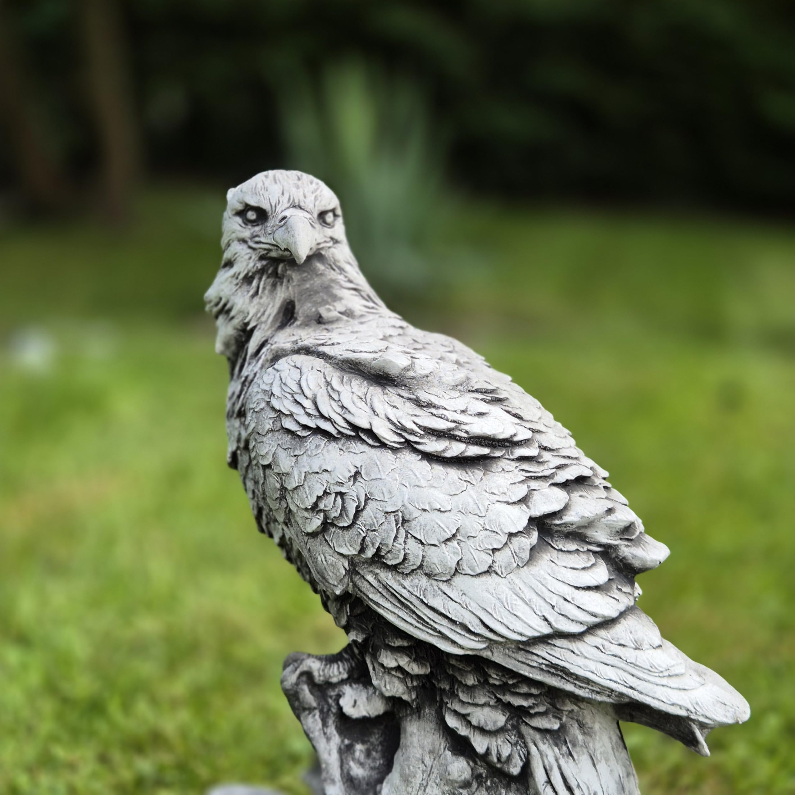 Abriq Aquila sulle rocce, decorazione da giardino realistica in pietra grezza resistente alle intemperie, antigelo per esterni, statua di aquila sulla roccia, aquila reale, altezza: 34 cm, 6 kg