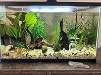 Review Image by Ashlyn Ashlyn