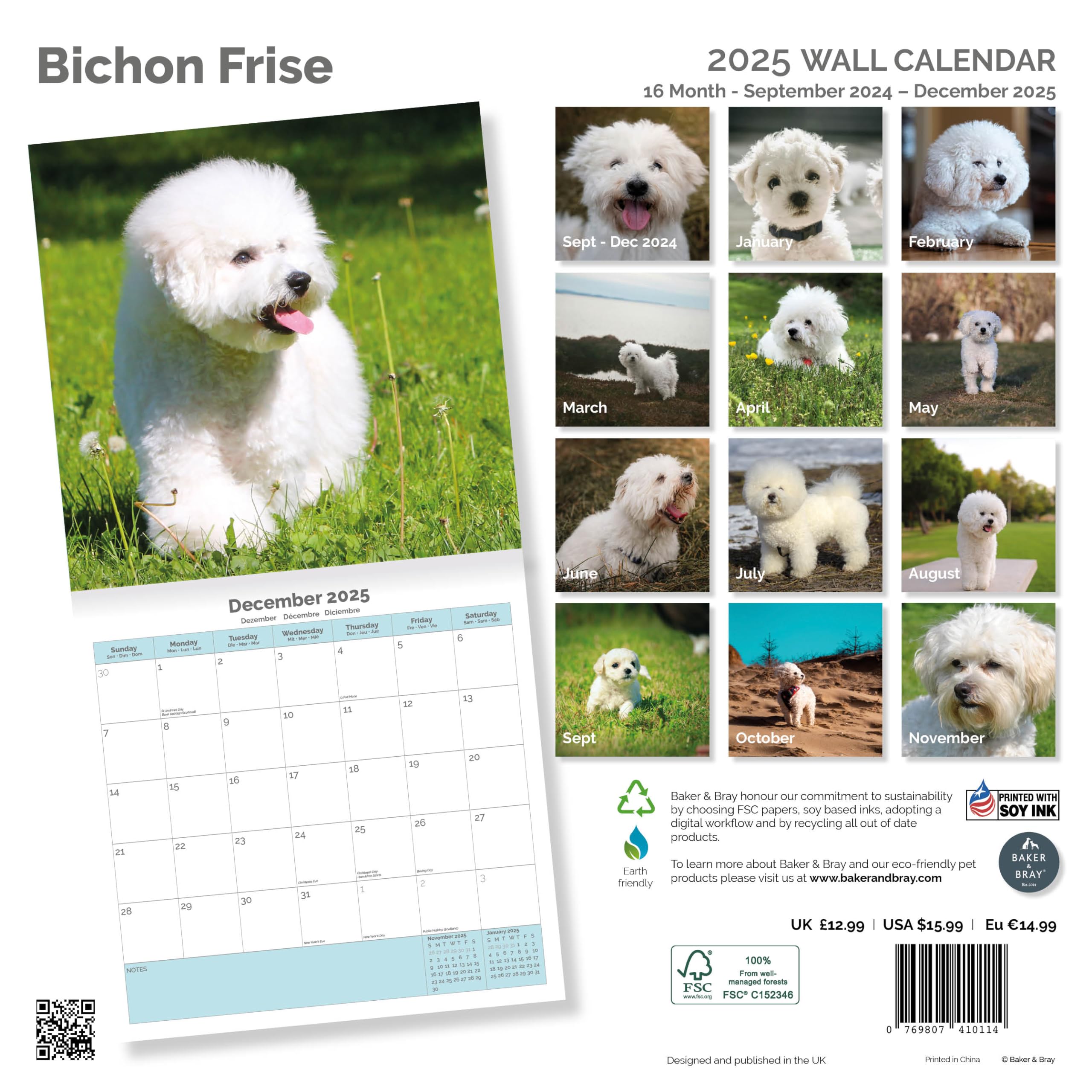 Baker and Bray Bichon Frise Calendar 2026, Large Square Wall Calendar With Organisational Stickers, 16 Month - Image 2