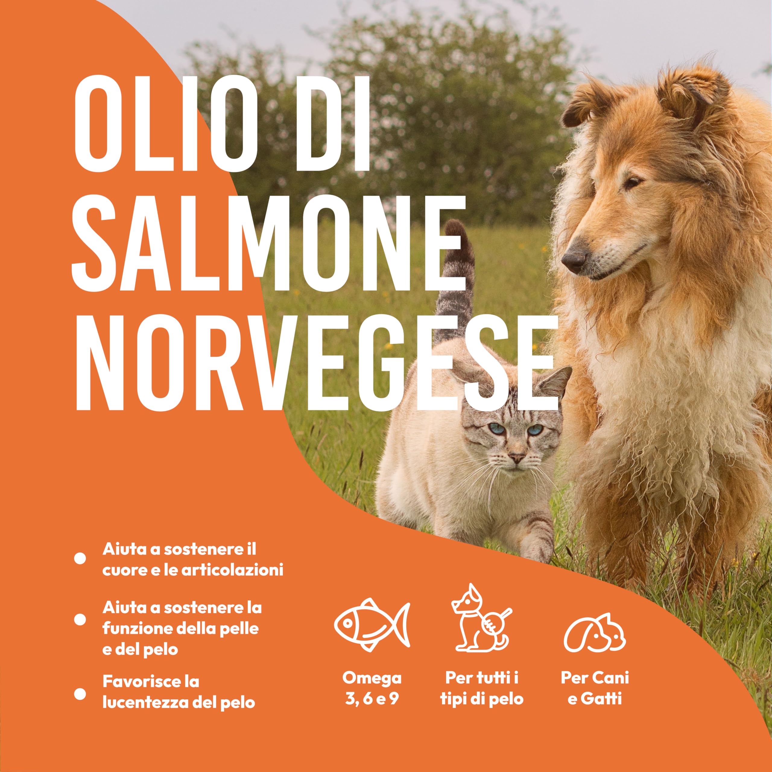 Petsly® Olio di Salmone per Cani e Gatti -1L- Norvegese 100% Selvatico - Ricco di Omega 3, 6, 9, Vitamina E - Pelo Lucente, Pelle Sana, Articolazioni Forti, Sistema Immunitario - Flacone a Pompa