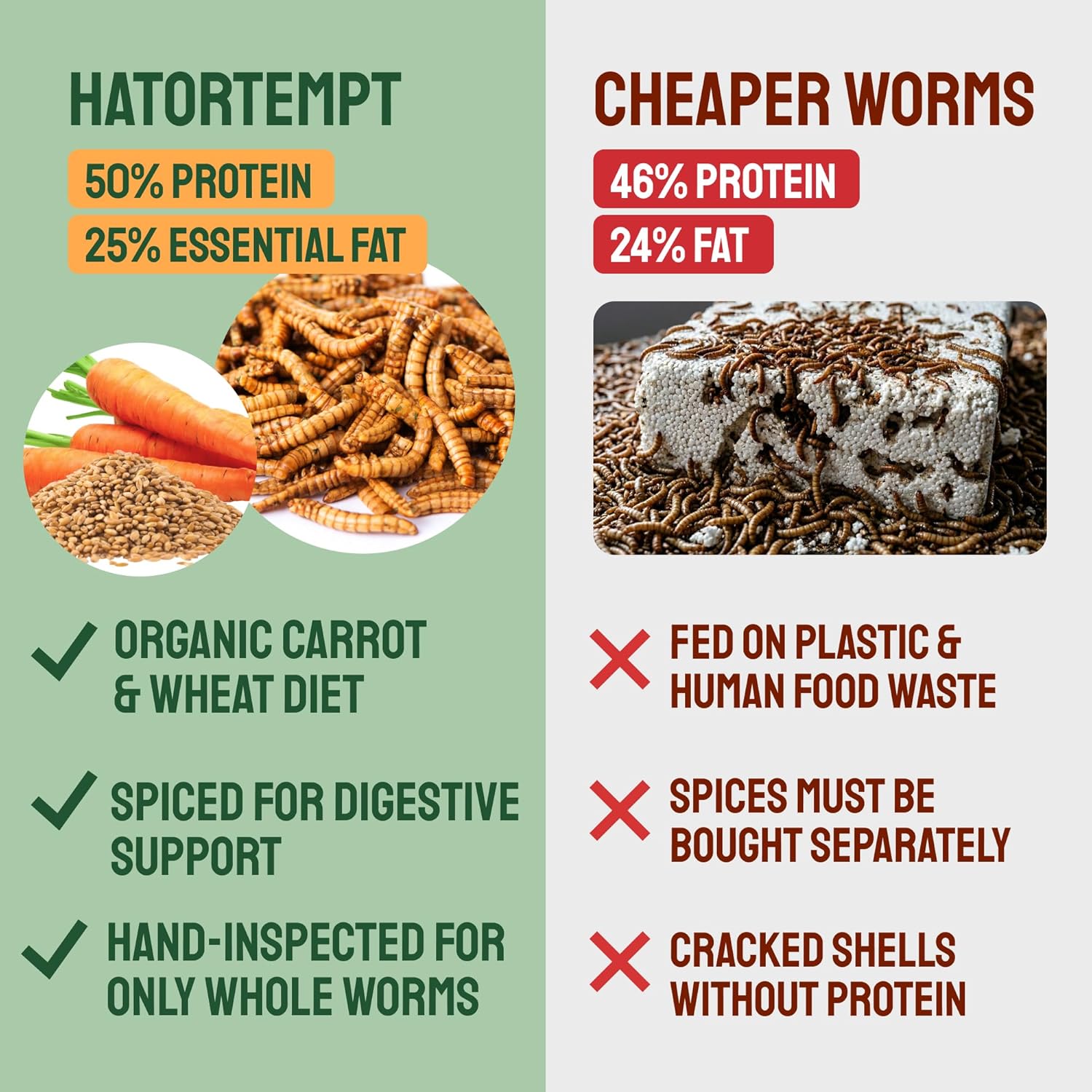 Hatortempt Spiced Black Soldier Fly Larvae and Mealworms for Chickens (Mealworms with Spices)