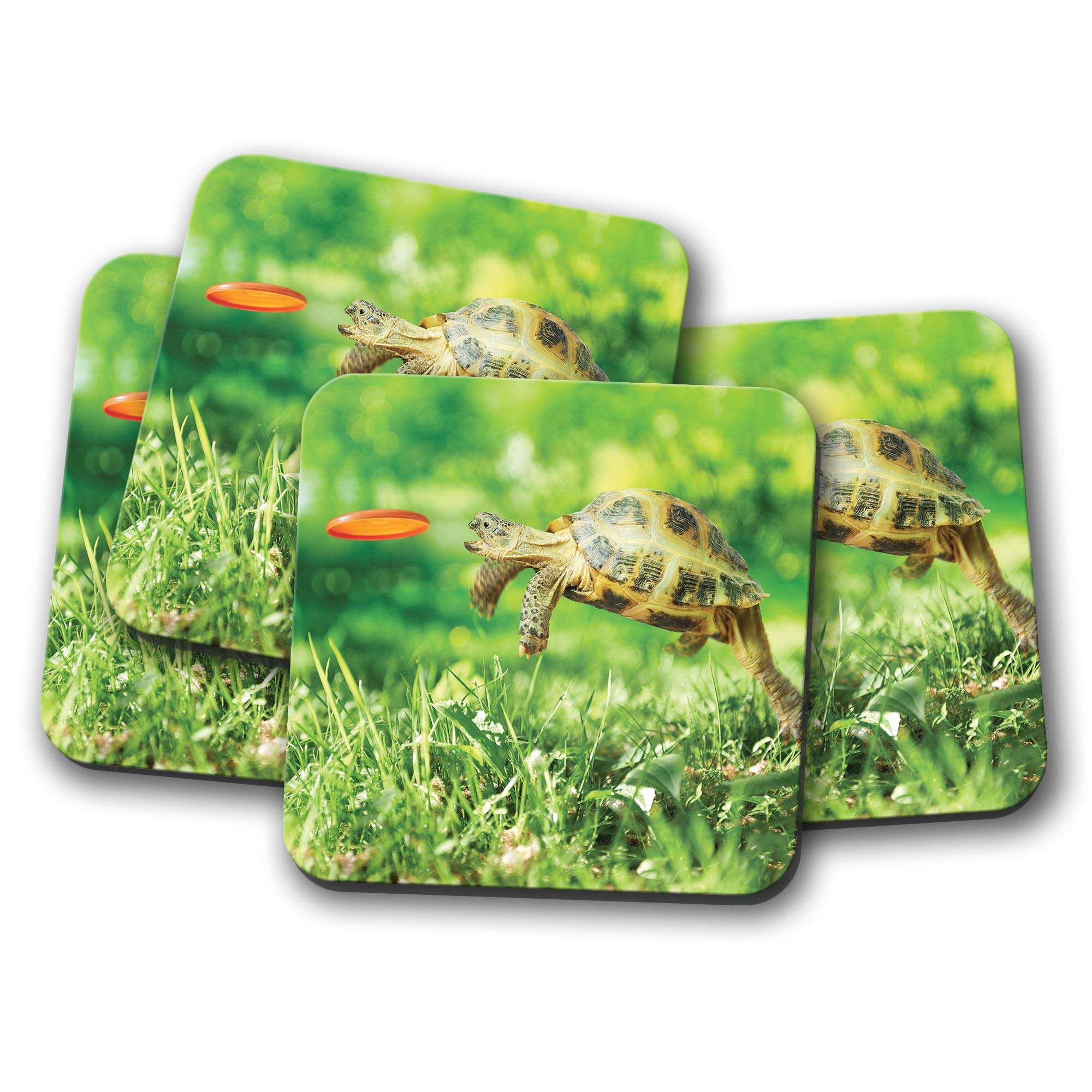 Destinationvinyl Multicolor 4 Set - Funny Tortoise Coaster - Turtle Pet Animal Frisbee Dad #14390