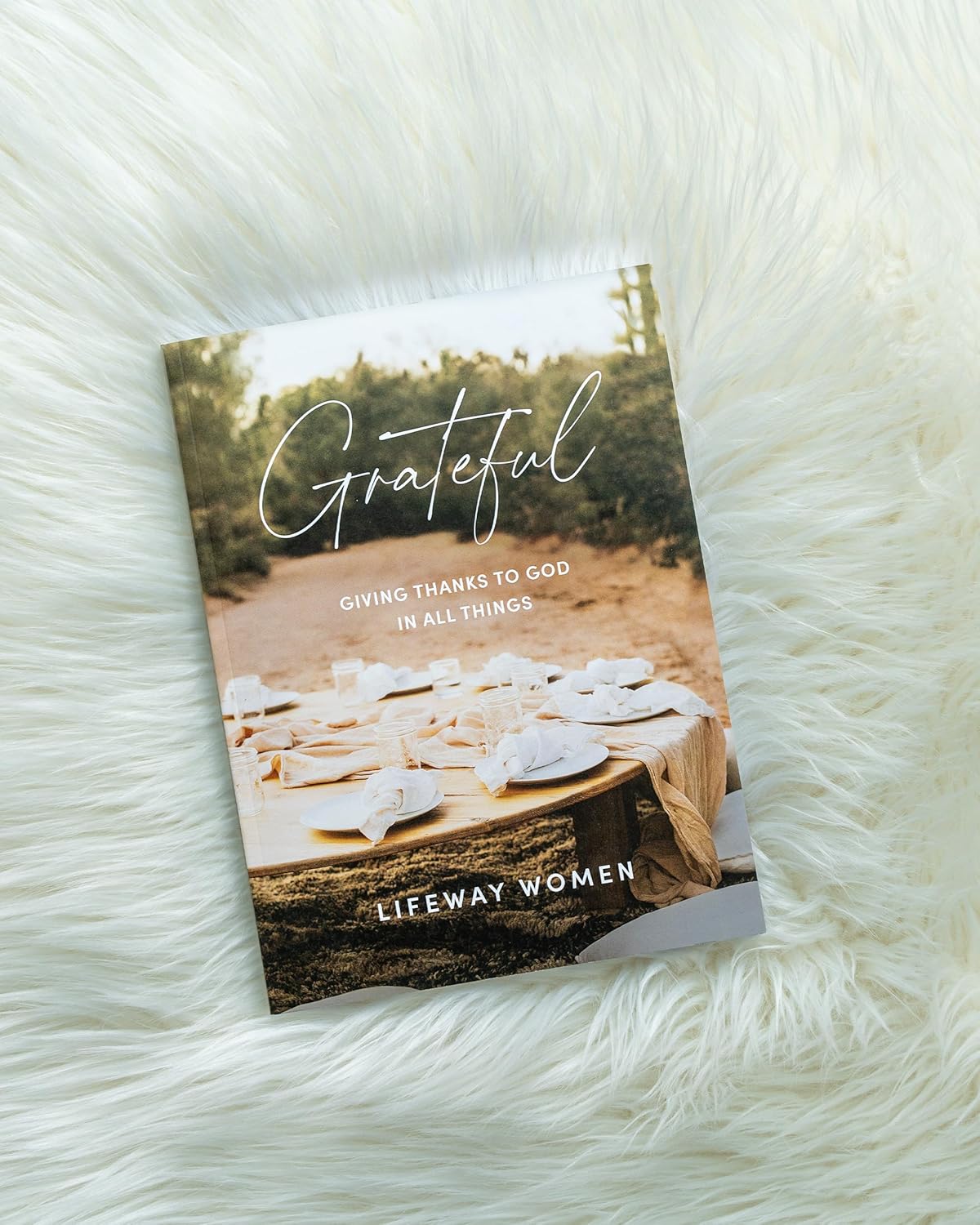 Grateful - Bible Study Book: Giving Thanks to God in All Things - Image 12