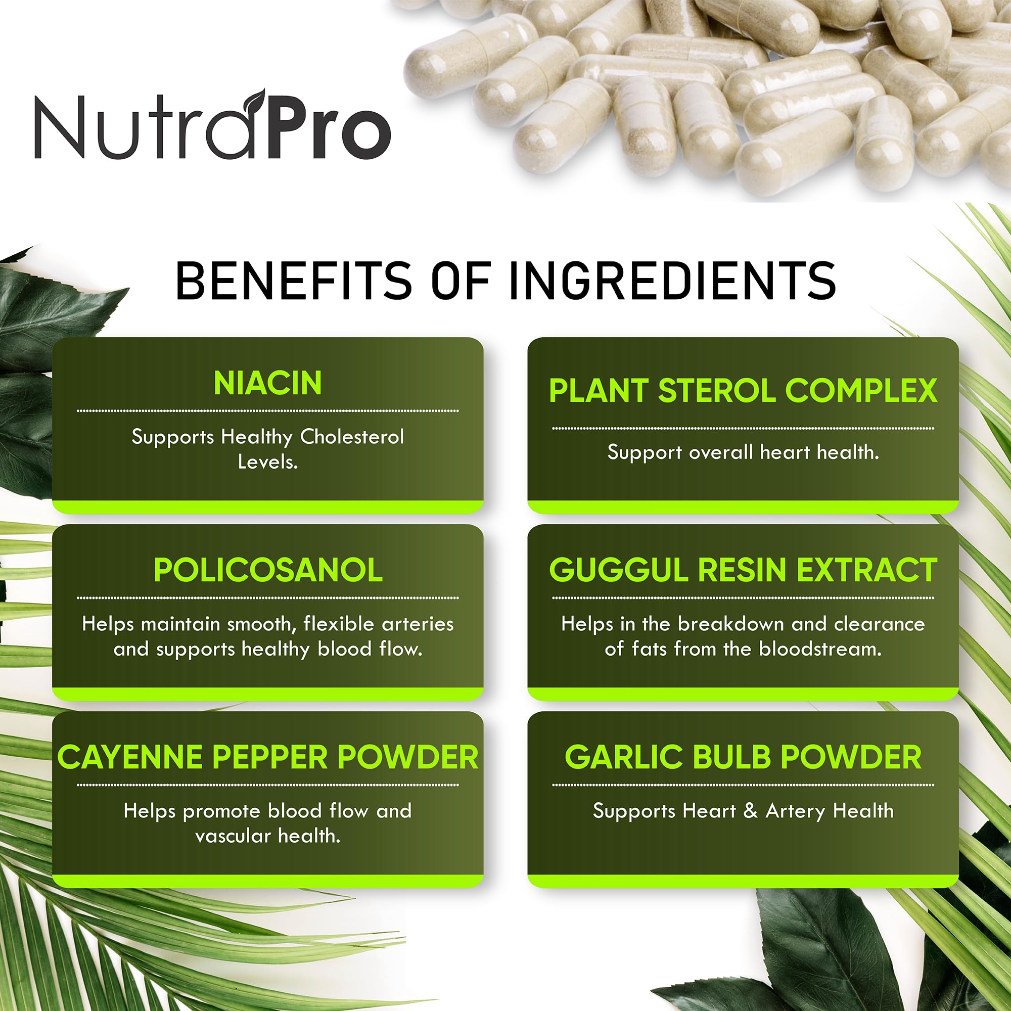 Heart Health Cholesterol Supplements - Cholesterol Health & Heart Support with Plant Sterols, Niacin & Garlic Powder.Vitamins Pills for Healthy Cholesterol and Healthy Heart.Two Months Supply. — Amazon image 5