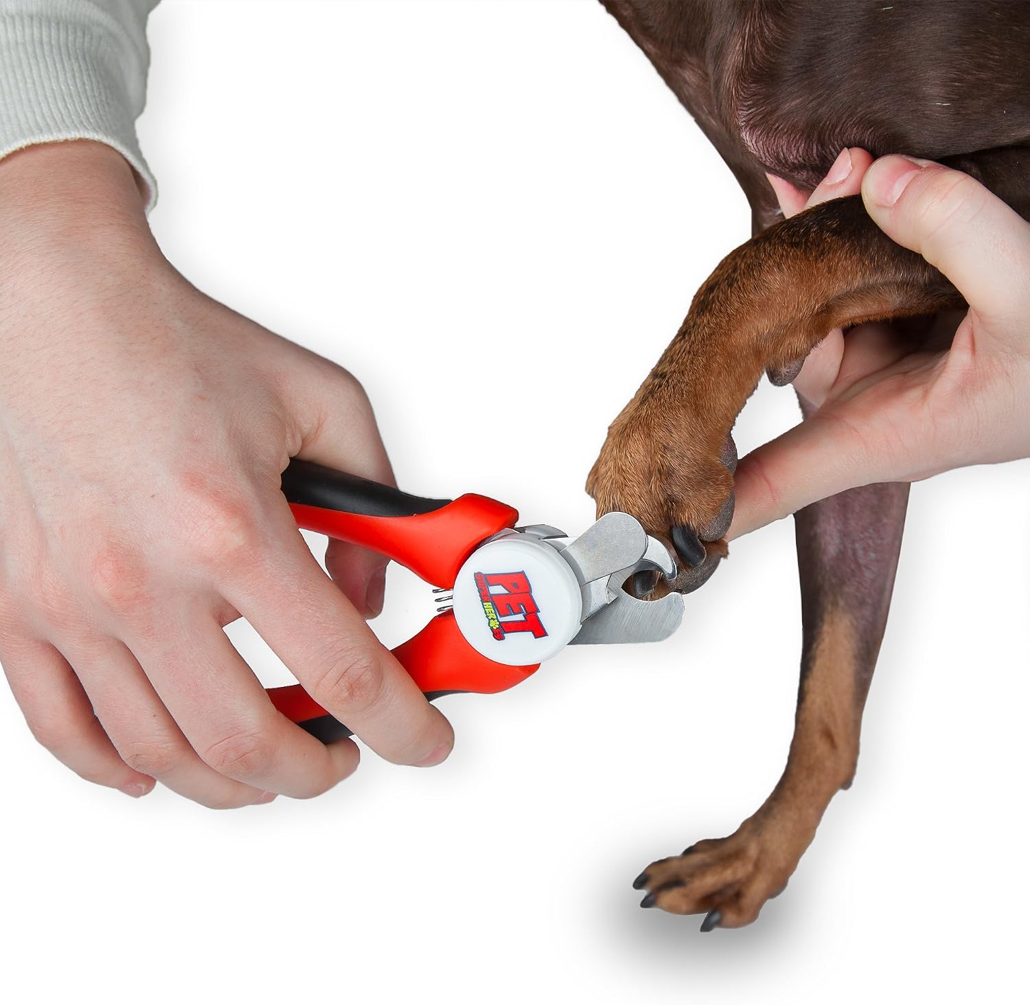 Pet Superheroes Best Professional Pet Nail Clippers Safely Trim Dog Nails and - Ideal for Small & Large Dogs, Puppies, Stainless Steel…