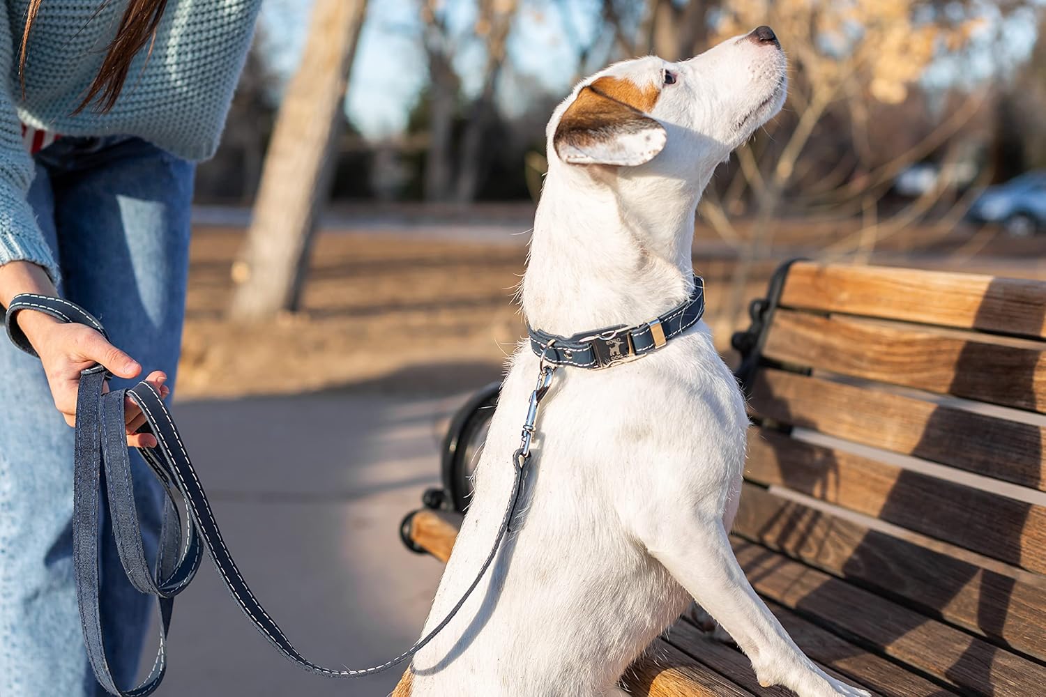 Affordable European Luxury Soft Leather Quick Release Buckle Dog Collar Made in USA