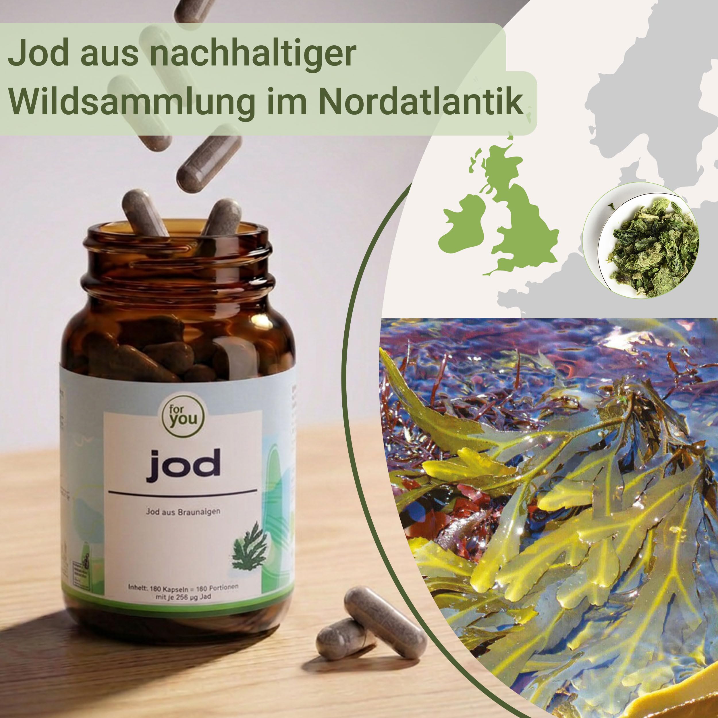 for you jod Bio 360 Kapseln - hochdosierte Jodkapseln aus Bio-Braunalgen von Seagreens® - aus biologischer Wildsammlung, nachhaltig geerntet - vegane Kapseln mit je 256µg Jod