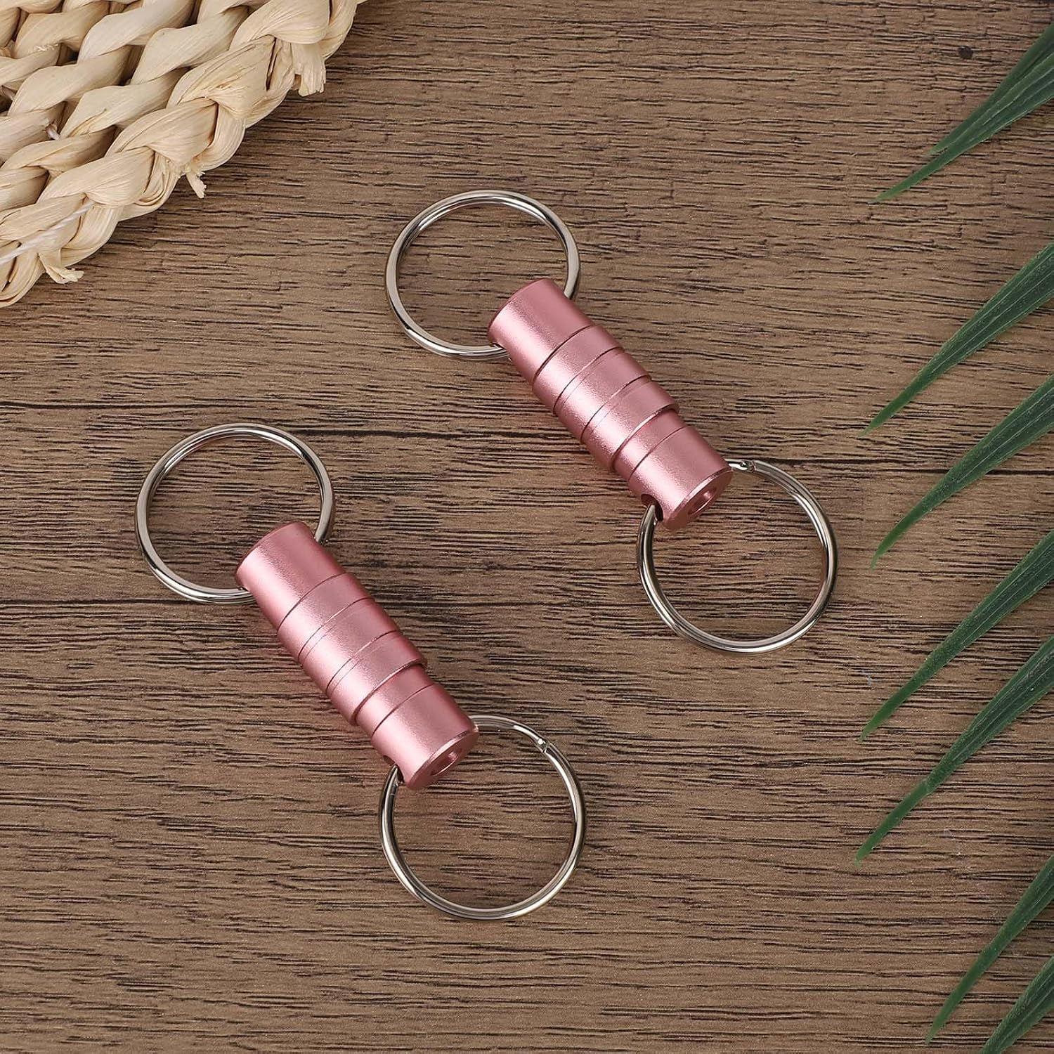 Tinoaly 2pcs Quick Release Keychain, Detachable Disconnect Key Ring Clips with Metal Carabiner for Keys Car Bag Accessories image 3