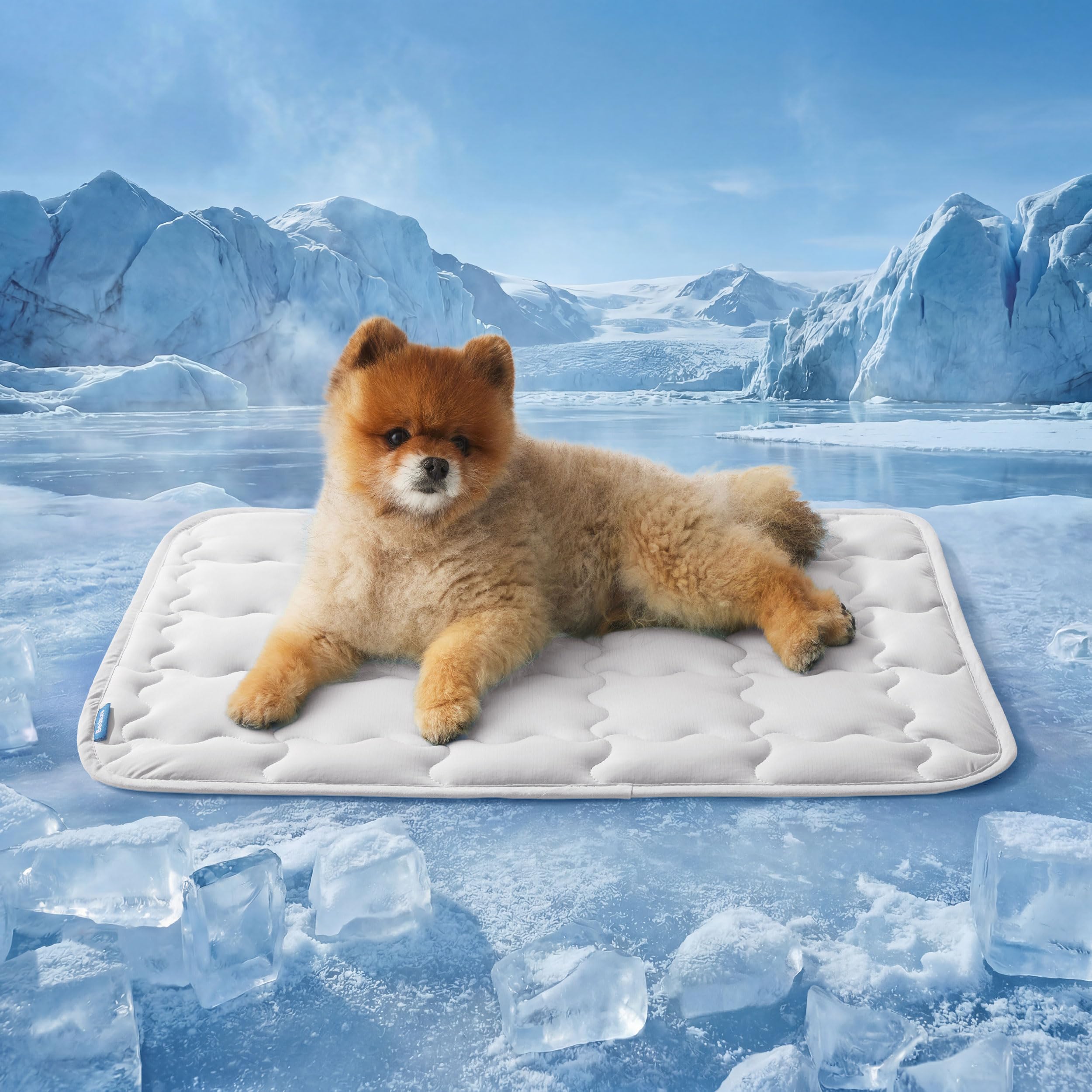 Bedsure Cooling Mat for Small Dog, 24x18, Grey
