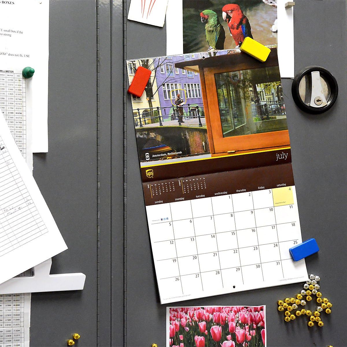 CMS Magnetics - (30-Pack Dominos White) Super Strong Colorful Ceramic Magnets for Dry Erase Whiteboards, Bulletins, Refrigerator, Office, Kitchen, School, Classroom