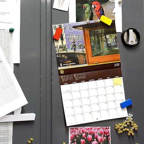 Miniatura 3 de CMS Magnetics - Paquete de 12 imanes de dominó de cerámica superfuertes coloridos para pizarras blancas de borrado en seco, boletines, refrigerador,