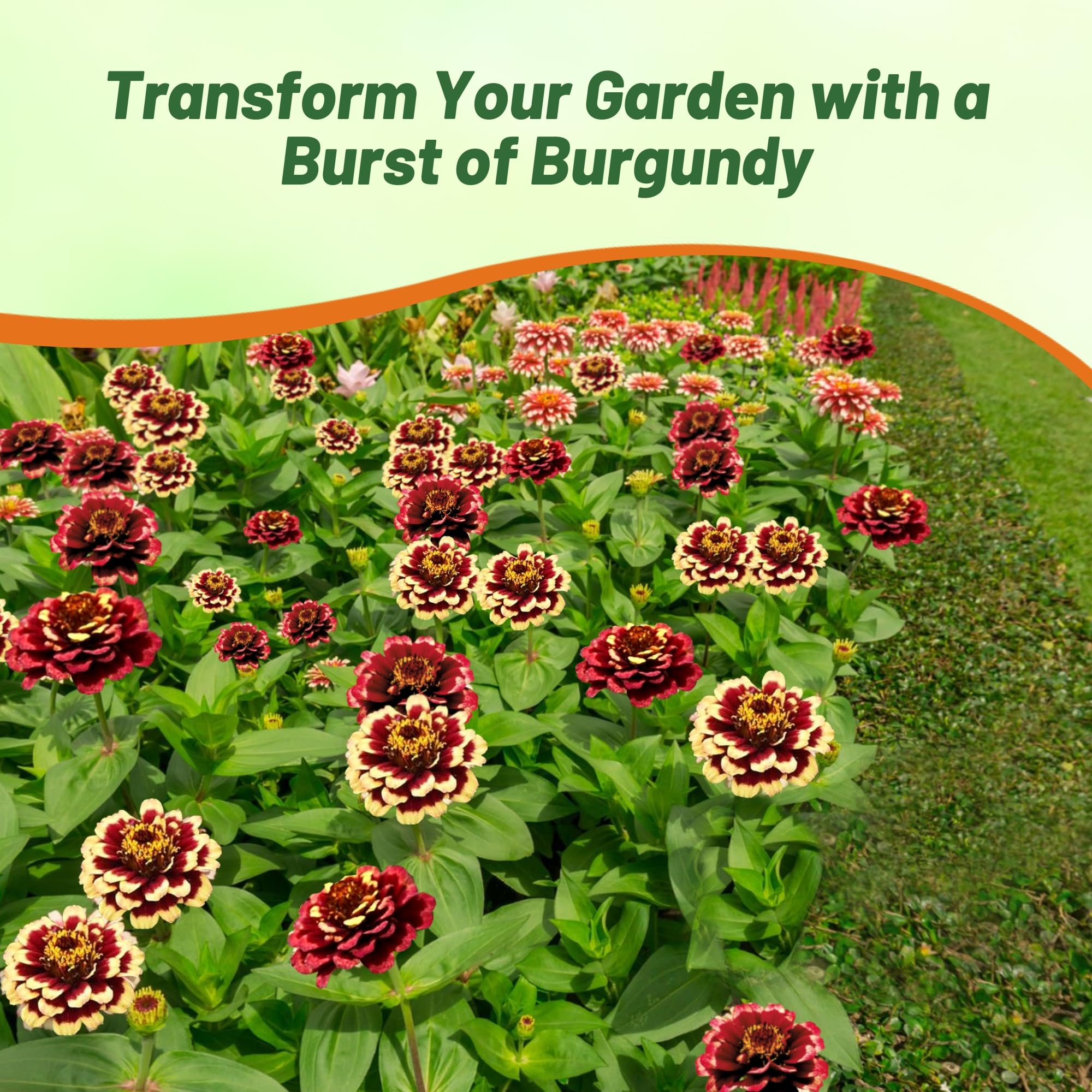 邦楽 ZIGAEXPERIENTIA Root ZX mini | MORITA