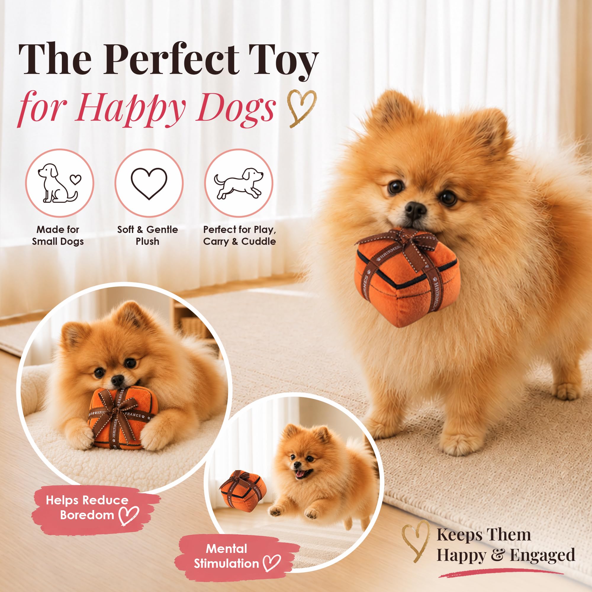 Pet Supplies : Dog Diggin Designs Hairmes Box Plush Dog Toy
