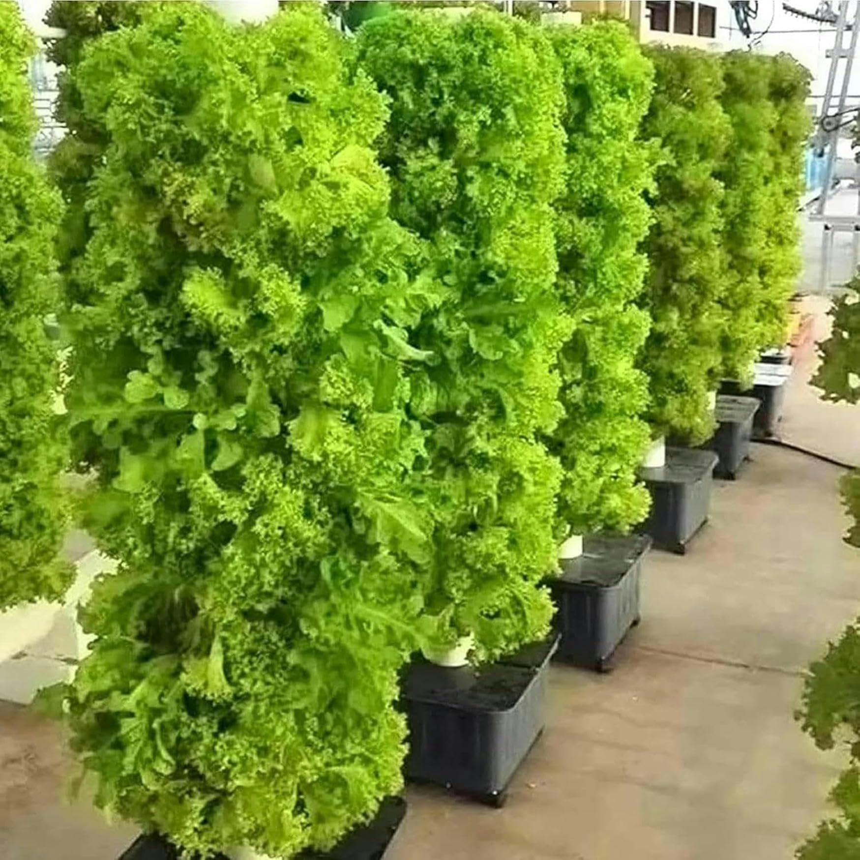 Hydroponische Anzuchtsets mit 45 Löchern, Hydroponik-Anbau, vertikaler Wachstumsturm für den Innenbereich, Hydroponische Pflanzausrüstung für Obst und Gemüse, Geschenke