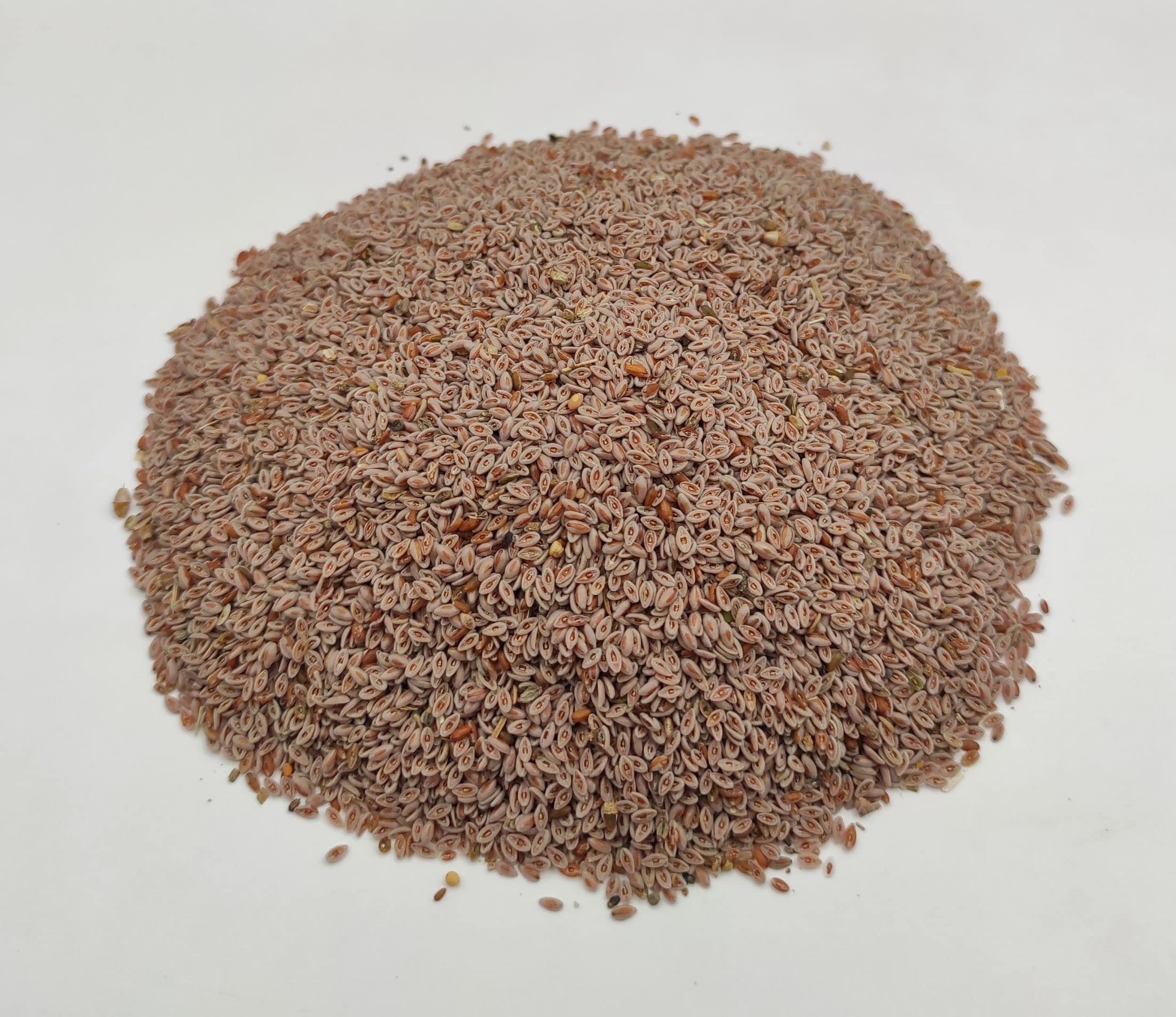 Getrocknete Flohsamen 85g - 1,95kg Plantago Indica (950 gramm)