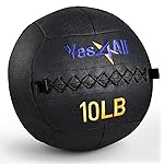 Yes4All Wall Ball, Soft Leather Weighted Iron Sand Ball for Dynamic Multifunctional Exercise, 10 LB + Target Sticker