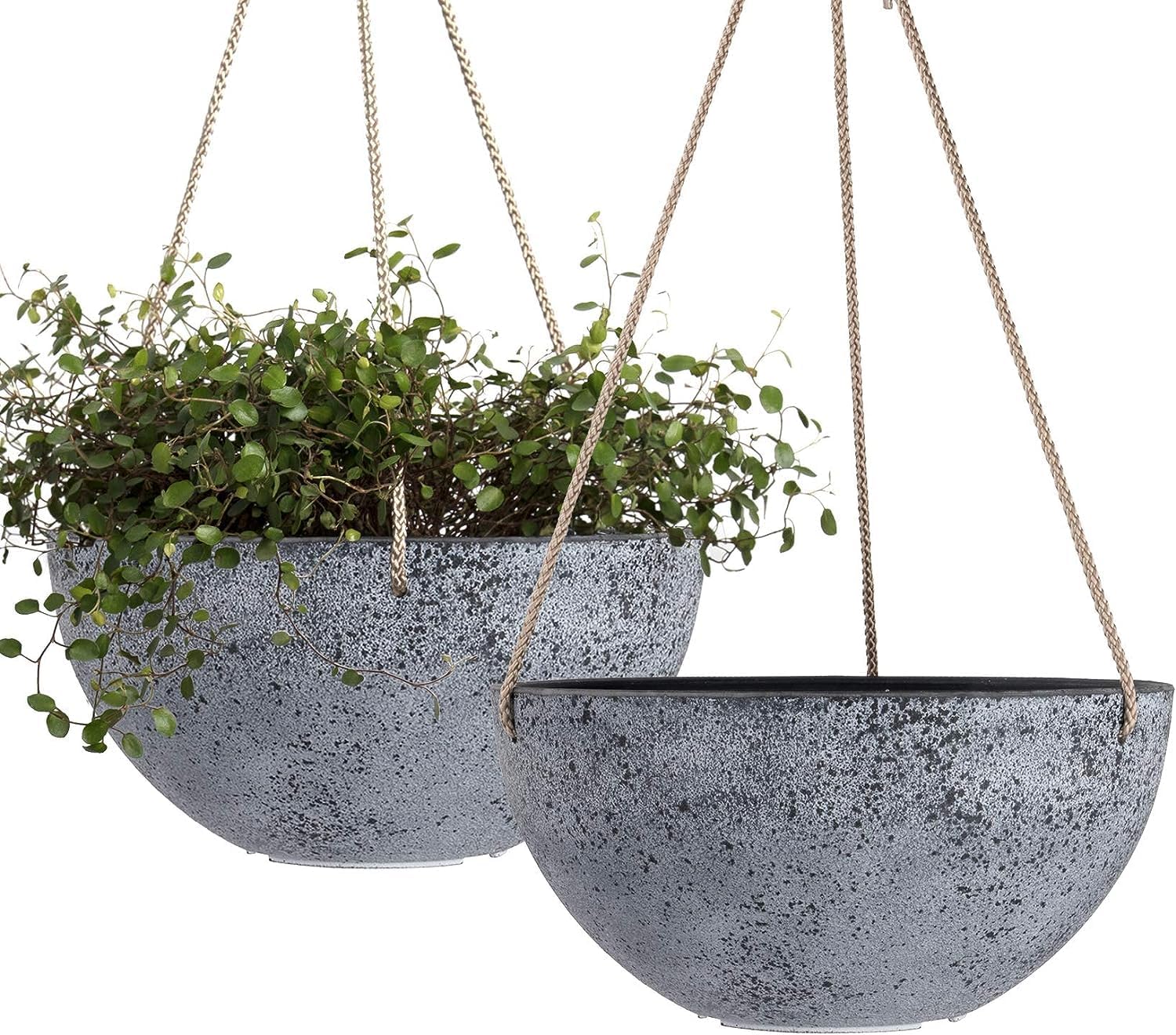 FOX & FERN Premium Unbreakable Hanging Fiber Planter for Vibrant Garden | Enhance The Ambiance of Your Home, Office or Garden (Pack of 1) (Dia. 25CM, Ht. 12CM) (Rock Gray) (B0CH8K4MC2) Amazon Price History, Amazon Price Tracker