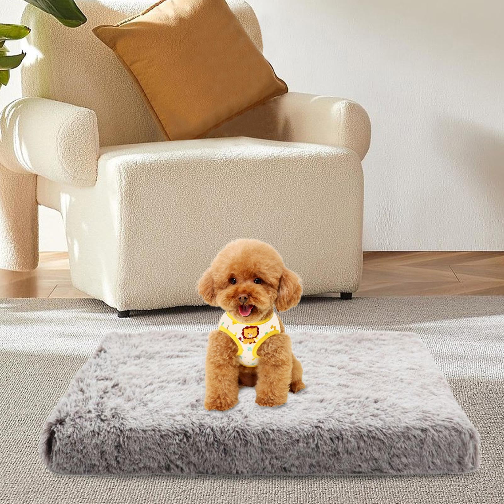 Générique Tapis Chauffant pour Chat Doux Et Portable