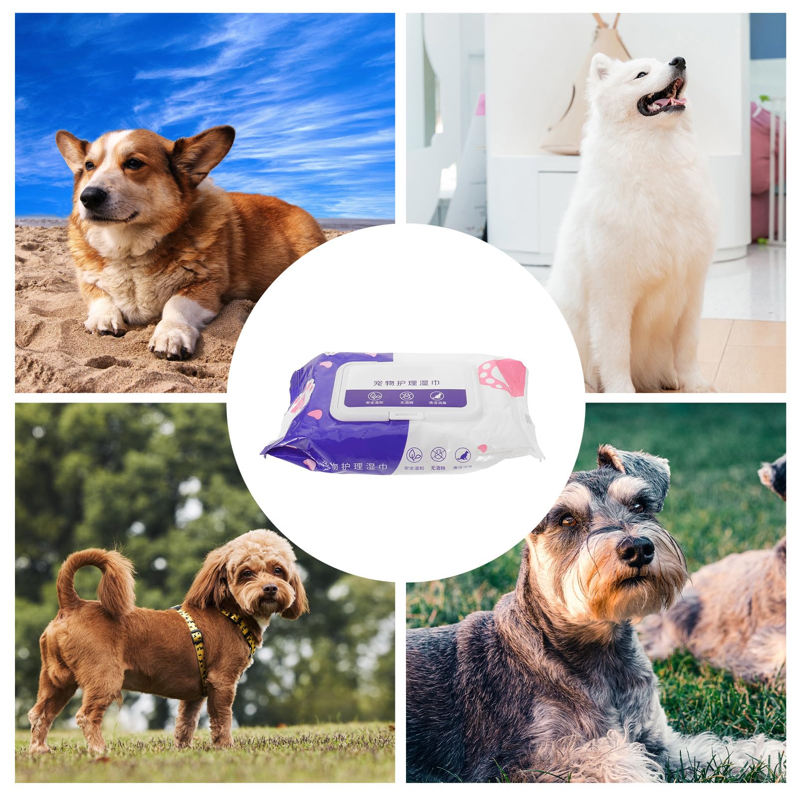 Lingettes Nettoyantes pour Animaux de Compagnie 10 Packs 80 Pièces