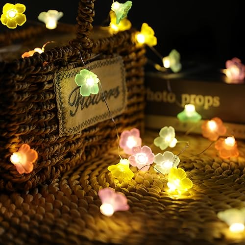 NOVIIML - Tira de luces de flores de lossom a pilas para dormitorio, 10 pies, 30 luces LED, flash interior, 2 modos, decoración de pared, cortina