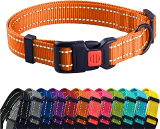 Reflective Dog Collar, Quick-Release Buckle (Orange, 14-18 Inch) | Reflective Nylon, Swim-Safe, Quick-Release Buckle, for Small to Large Dogs & Puppies