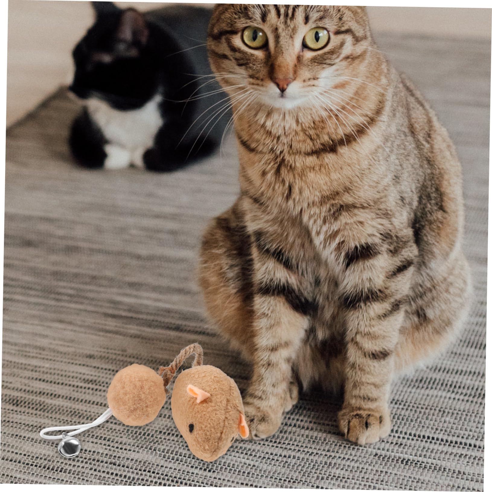 6 Pièces Souris avec Accessoires Interactifs pour Actifs Blancs