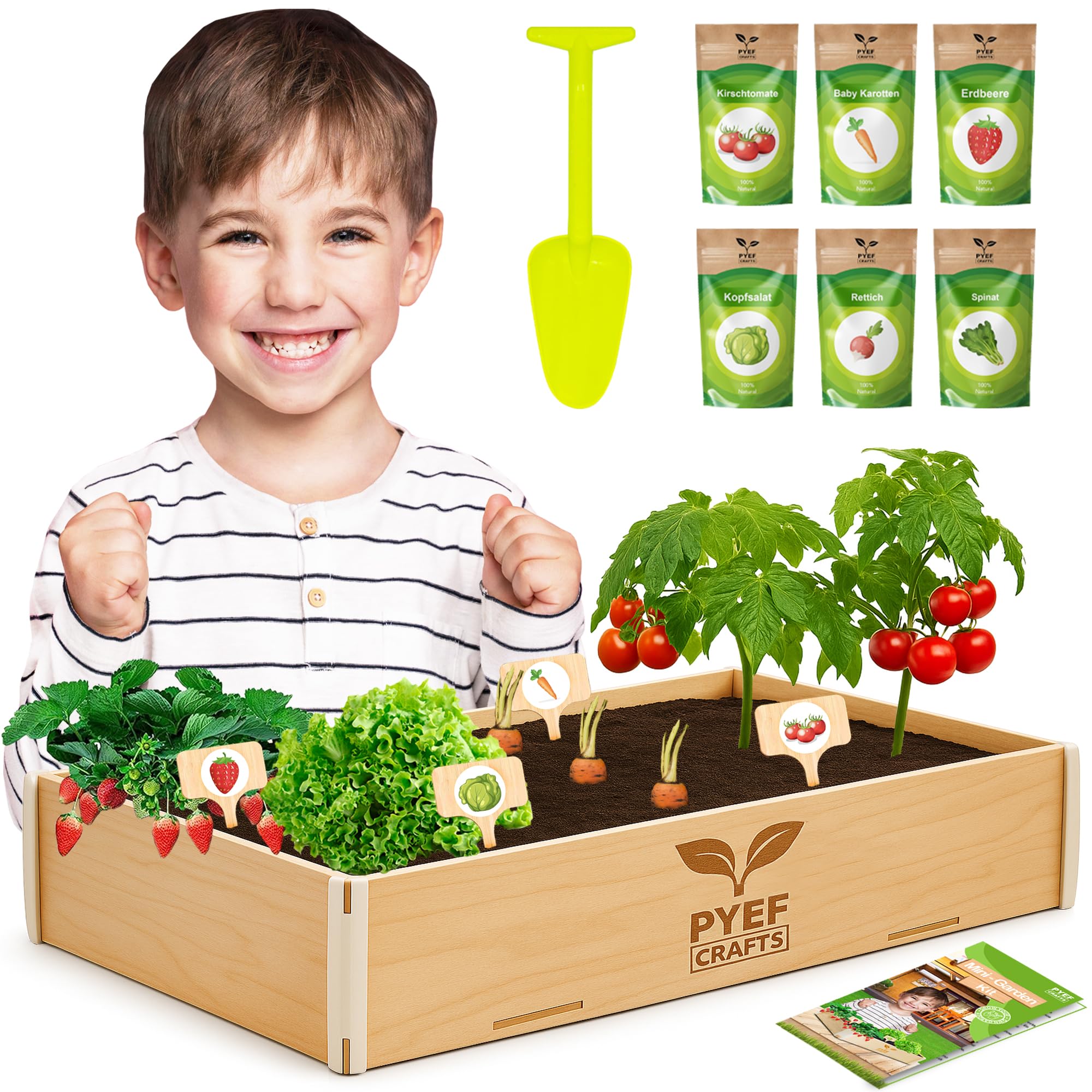 Mini Garten Kinder Komplettset - Gemüse Indoor Kräutergarten