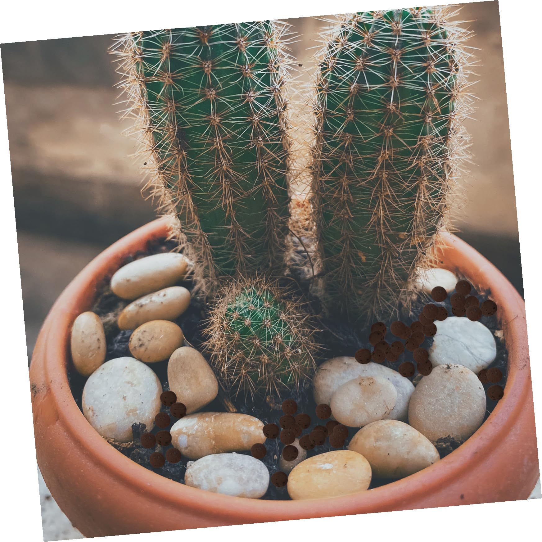 Céramsite pour Plantes en Pot, Matériau Respirant et Capacité Stable en Eau, 2 Paquet de 1000g pour Jardin et Maison, Fournitures Plantation de Fleurs