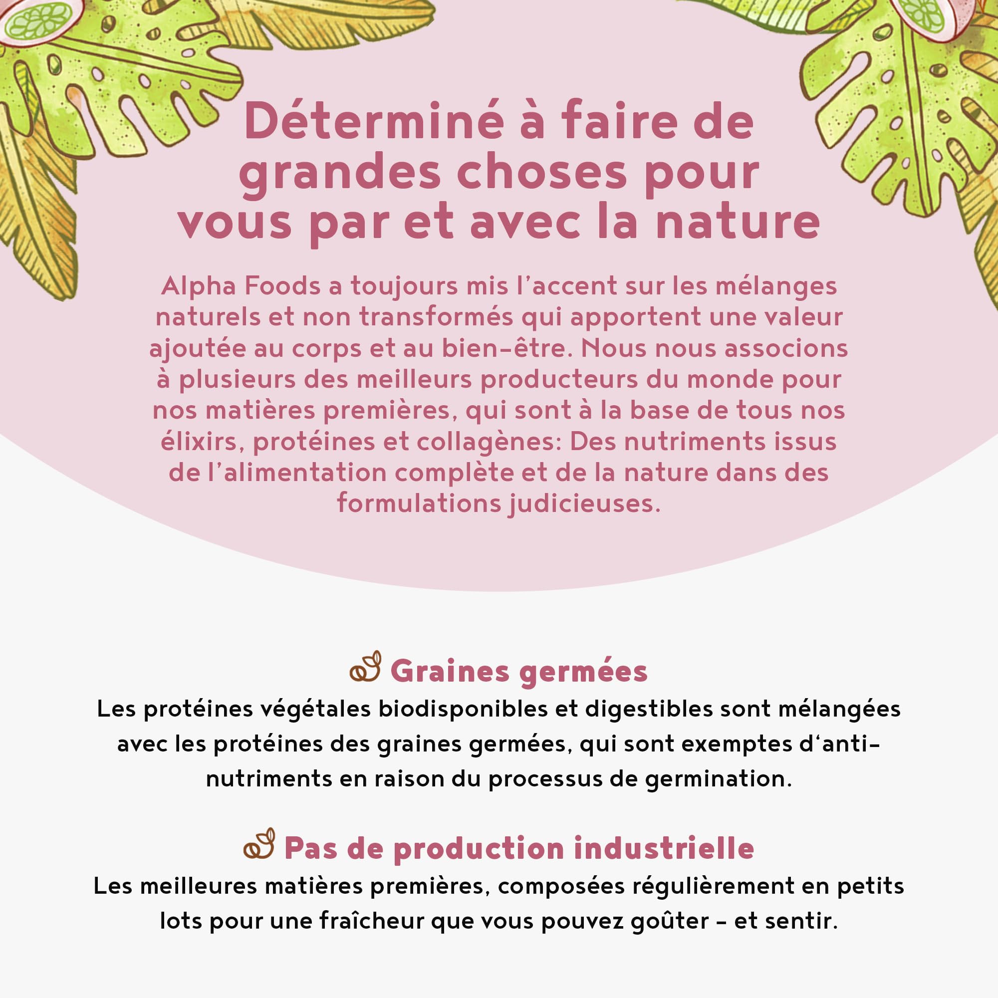 Vegan Protein Shake YOGHURT FRAMBOISE - Protéine végétale de riz germé, pois, graines de lin, amarante, tournesol, pépins de courge - poudre pour un boisson protéinée faible en calorie & glucide