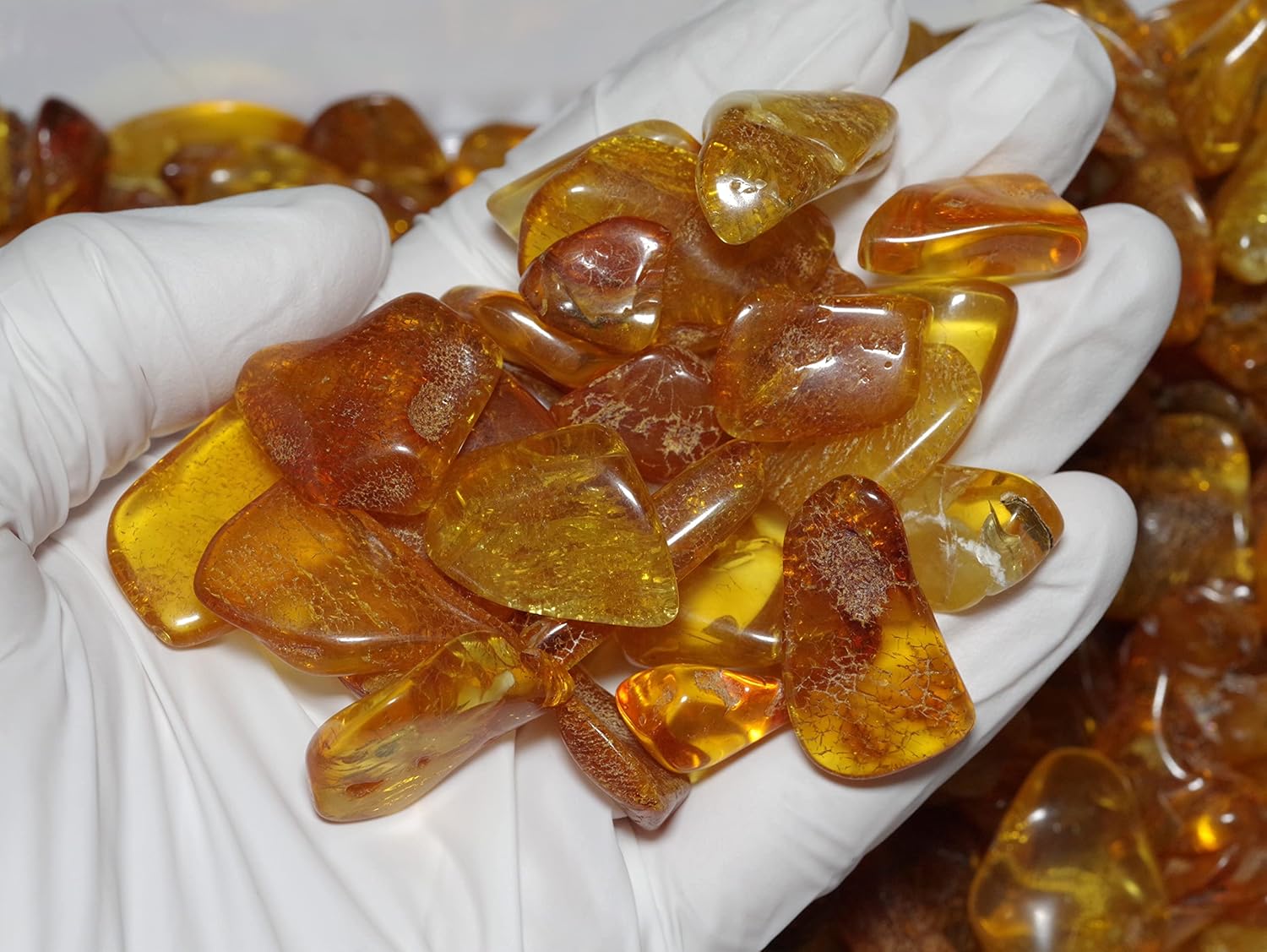 N2 stone Natural] 天然化石 琥珀 (コハク/amber) / 標本 | (研磨した