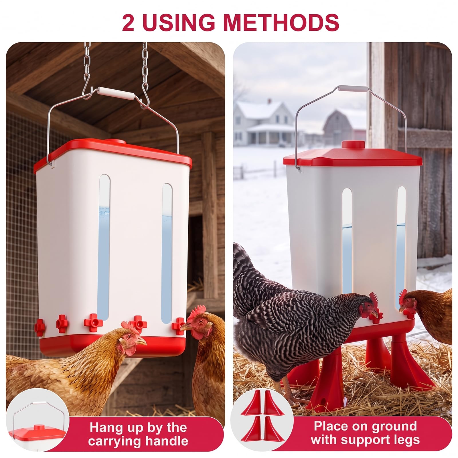 Abbeveratoio per pollo riscaldato da 5 galloni con secchio visibile per
