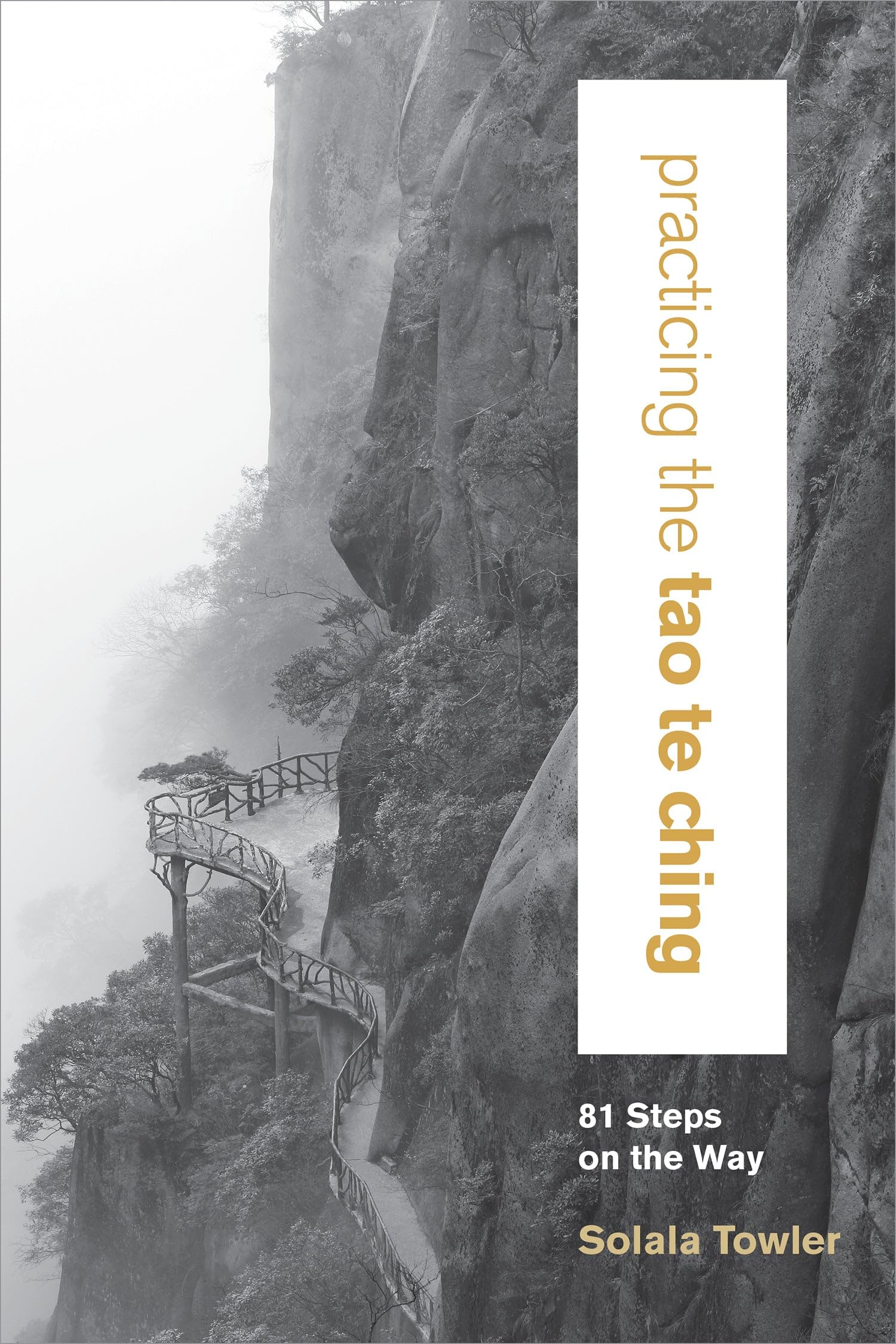Buy Practicing the Tao Te Ching — BookShops.in