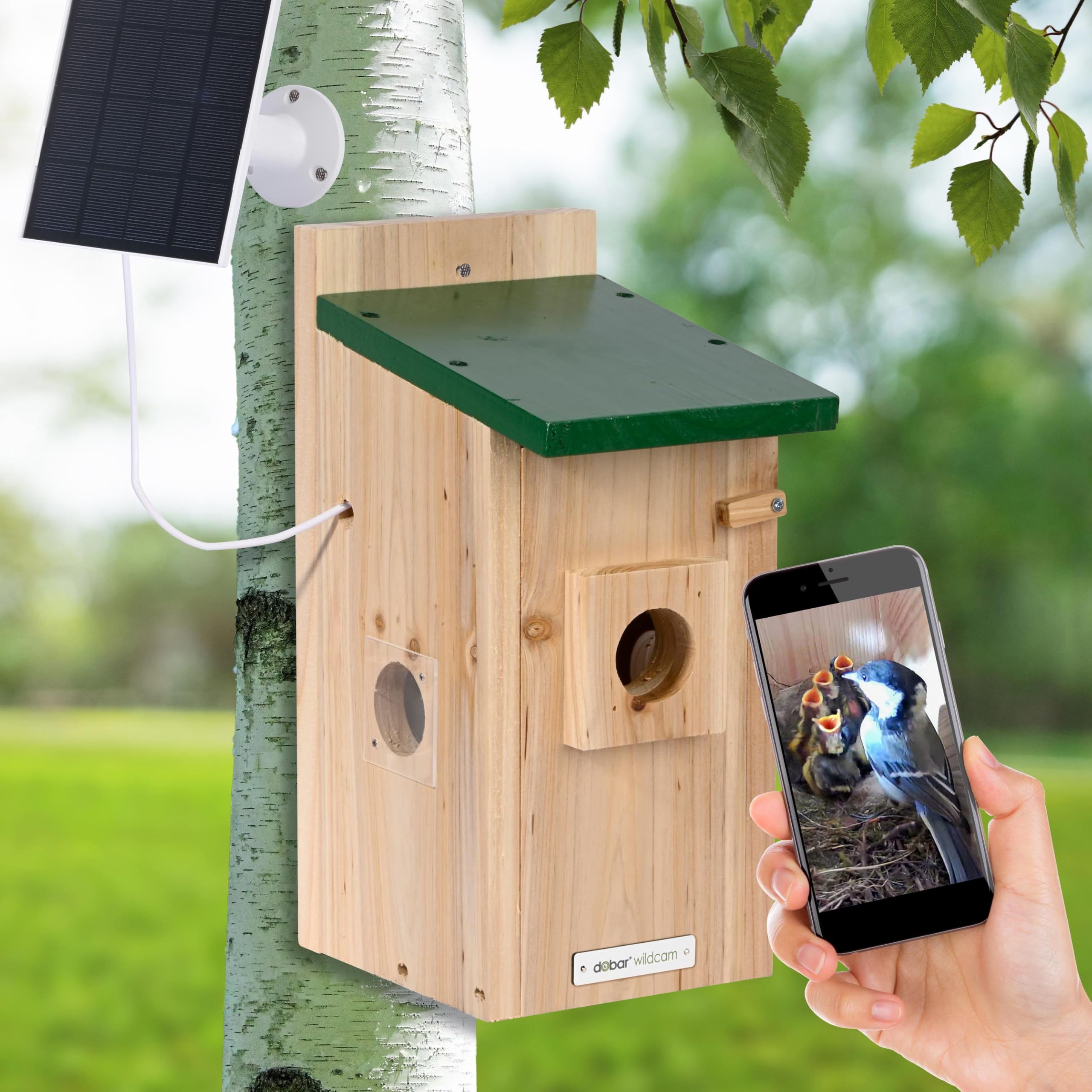 Luxus-VOGELHAUS Nistkasten Eazy mit WiFi Kamera und Solar Panel - Vogelbeobachtung mit Nisthilfe aus Holz und App - Ø 40 mm Einflugloch - Grün