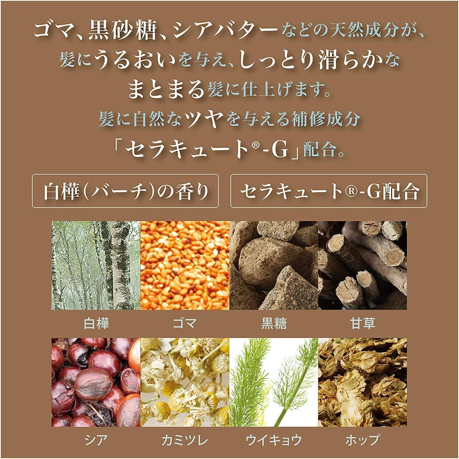 Amazon | 【広がる髪がまとまりやすく】トリートメントオブヘア・2