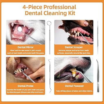 Dog Plaque Remover for Teeth, Ultrasonic Pet Tooth Cleaner Kit with LED Light, Safe Electric Tartar & Stain Dental Tools for Dogs and Cats, 5 Adjustable Modes, 3 Heads, Rechargeable