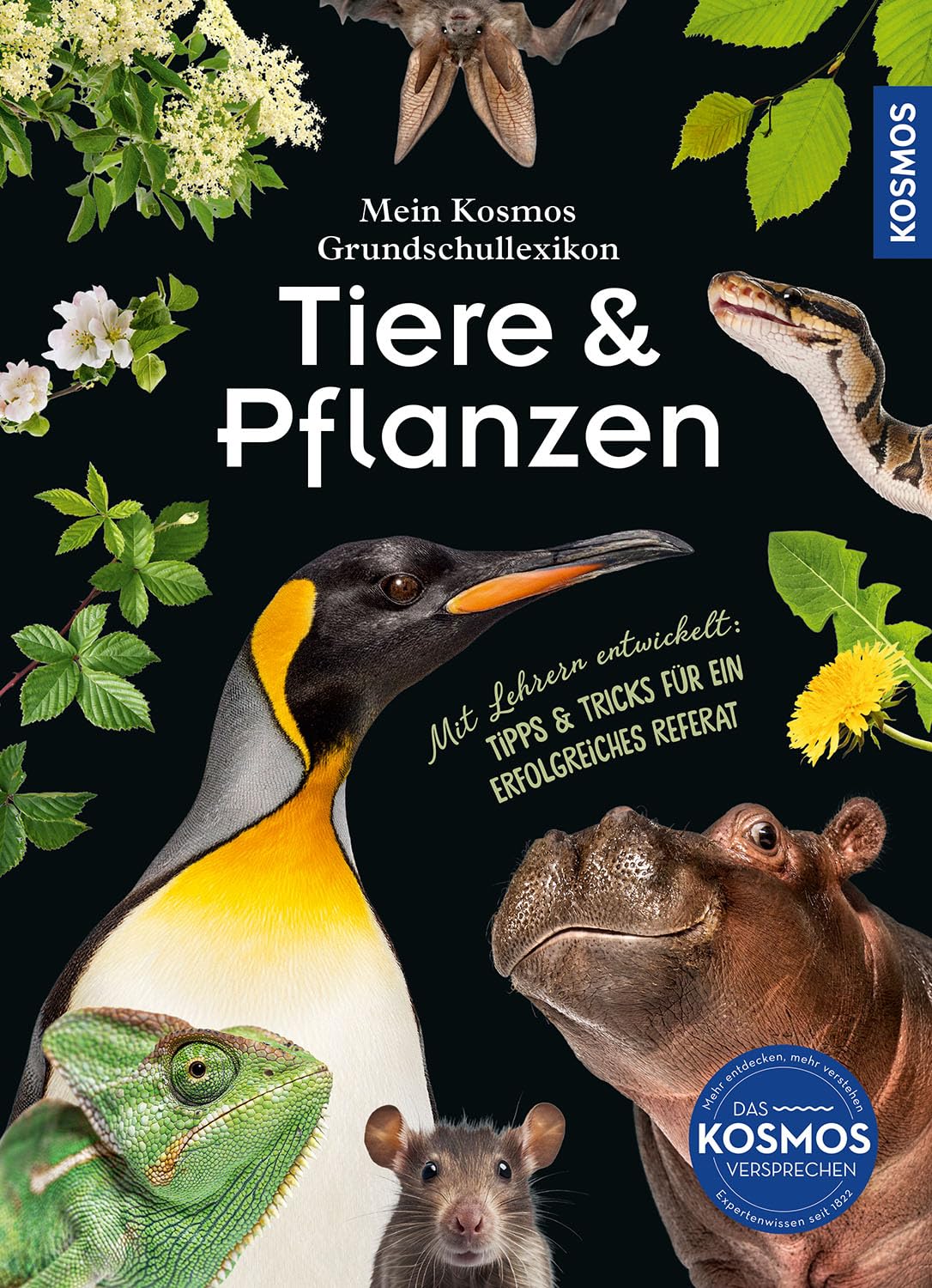 Mein Kosmos Grundschullexikon Tiere & Pflanzen: Mit 300 Tieren & Pflanzen von A bis Z, für neugierige Kinder ab 8 Jahren, mit Extraseiten für das erste Referat - mit Grundschullehrern entwickelt.