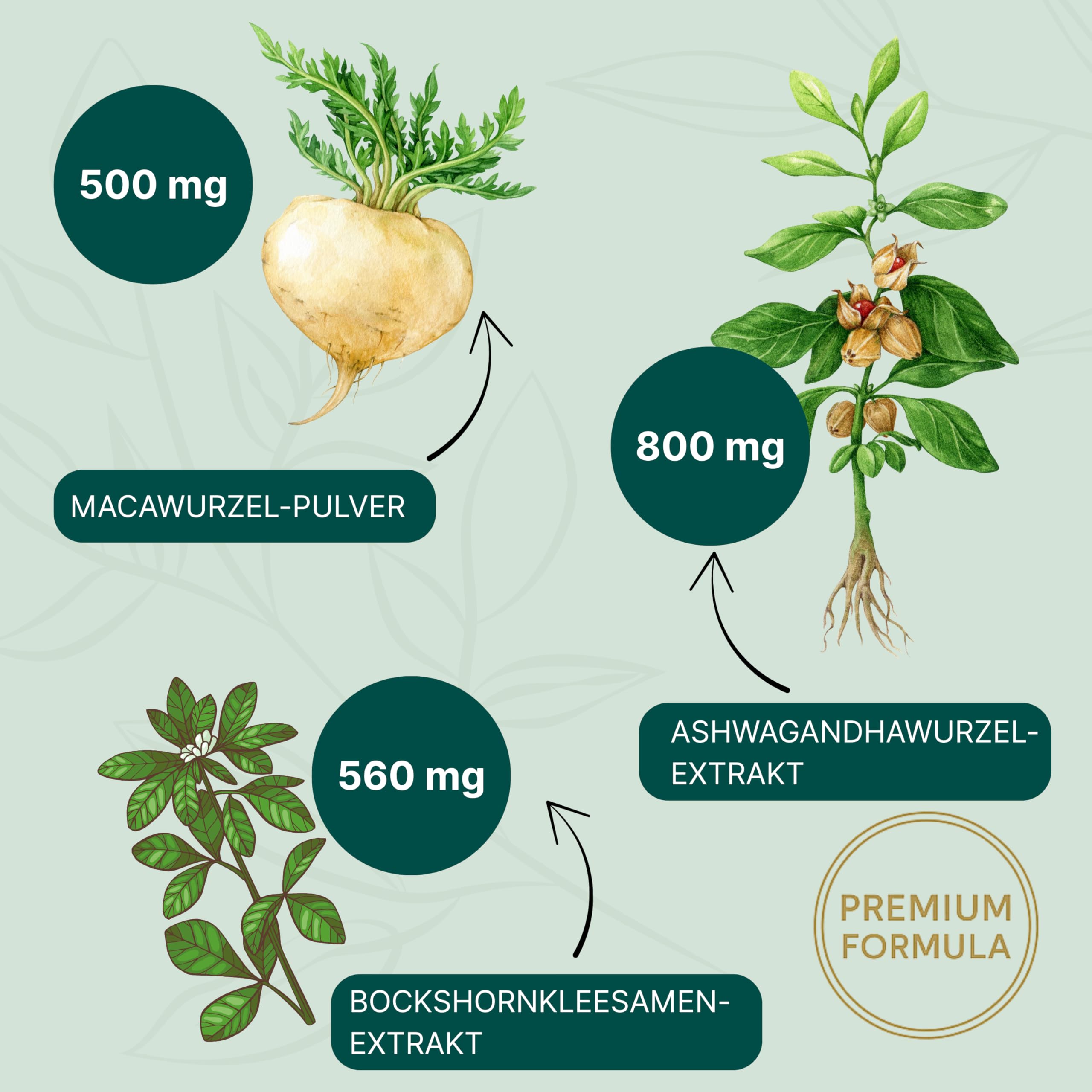 ESSENZ Maca Komplex - Kapseln mit Macawurzel, Ashwagandha & Bockshornklee – Nahrungsergänzungsmittel mit Pflanzenextrakten & Zink – vegan