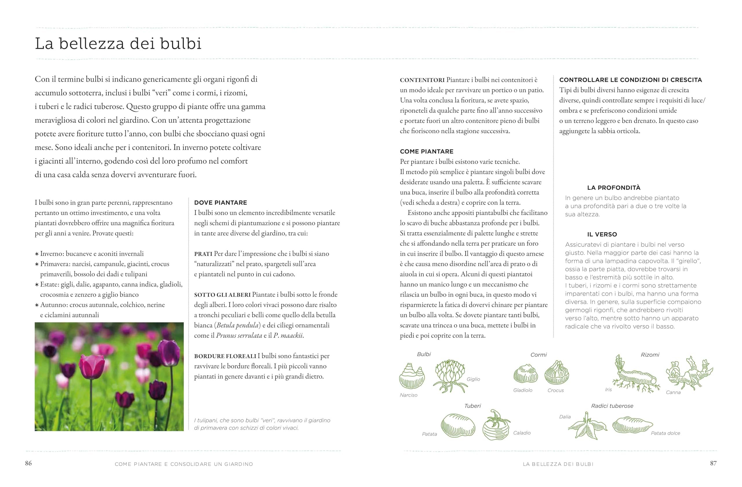 Come diventare un mago del giardino (e dell'orto)