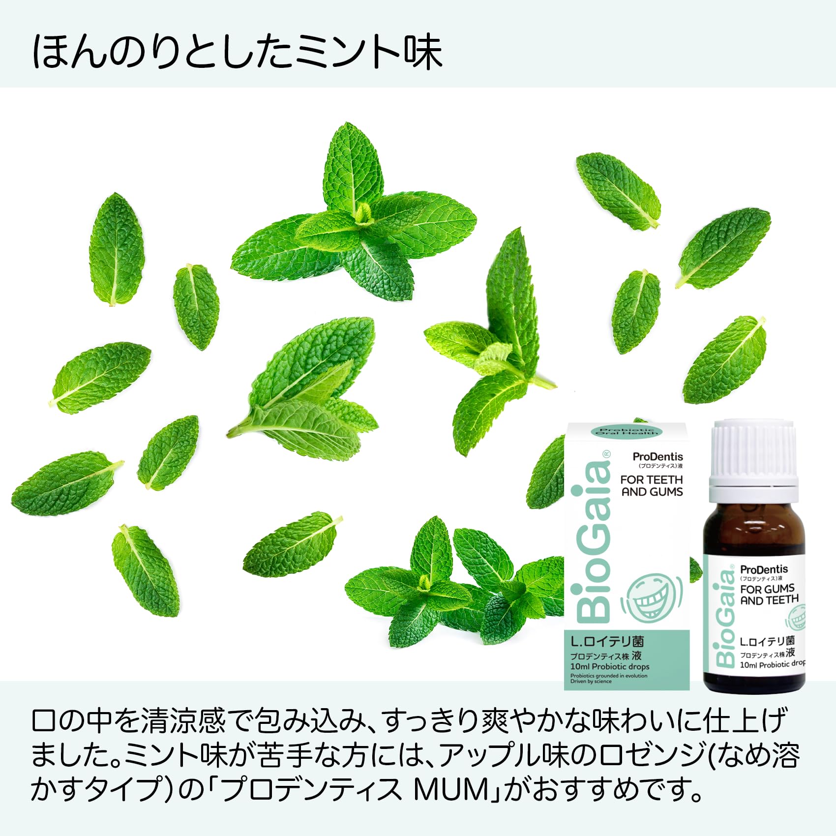 Amazon | プロデンティスリキッド 10ml×1本（バイオガイア） | BioGaia